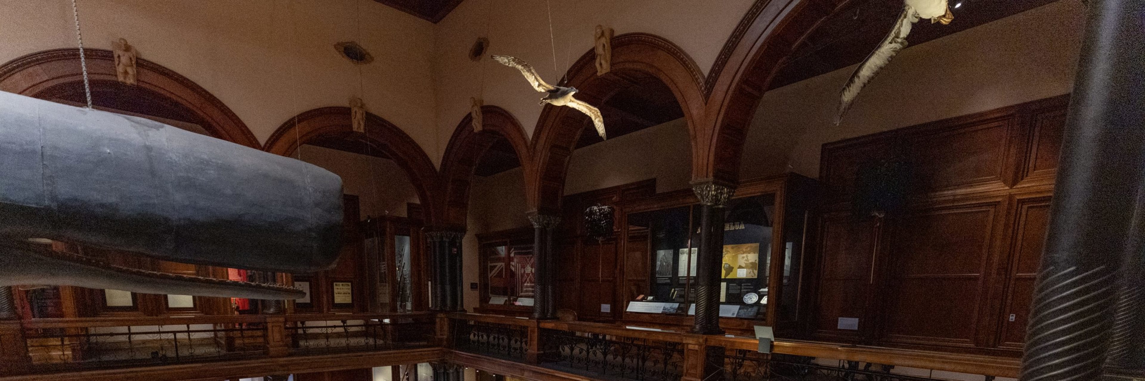 Bishop Museum Discount Tickets | Save with Go Oahu