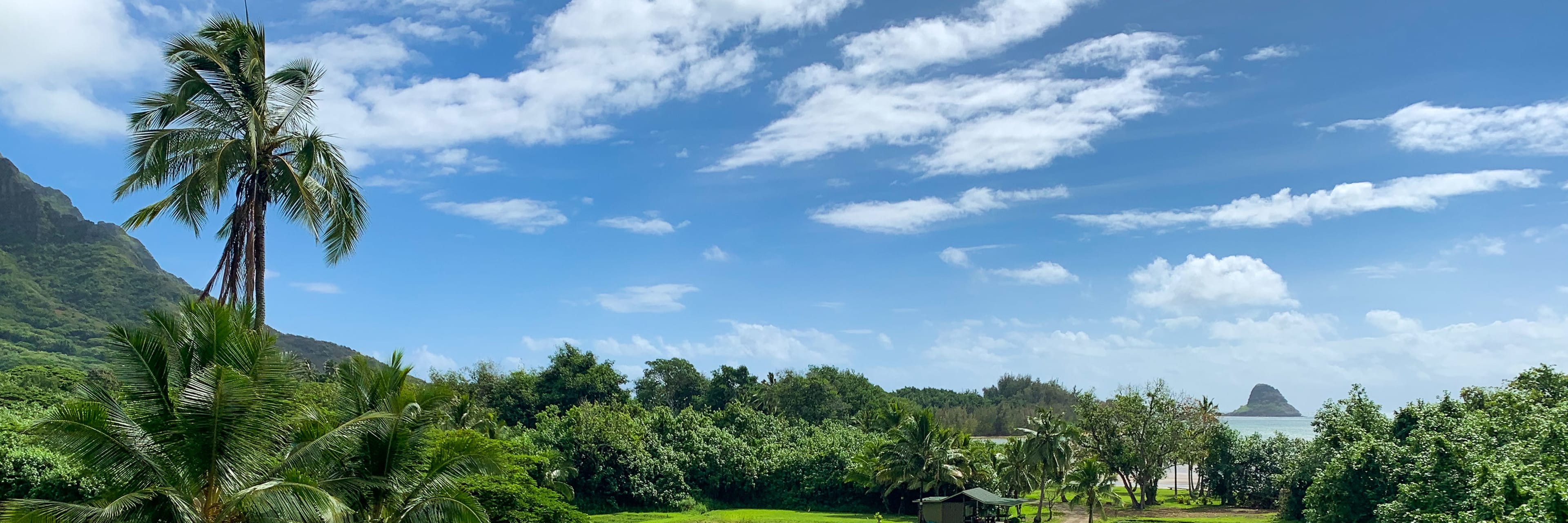 クアロア・グロウン ツアー | Go City®