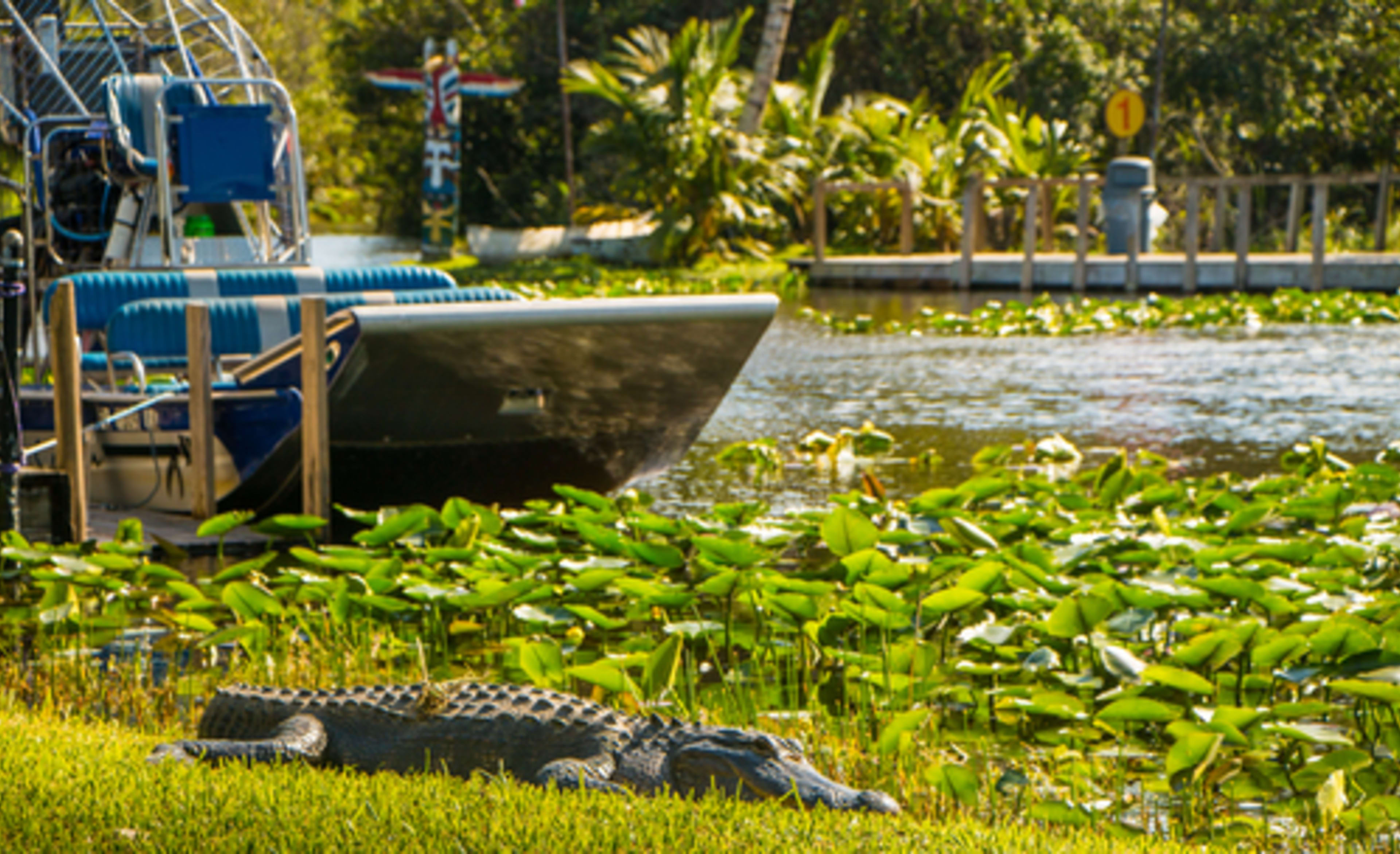 Everglades airboat ride