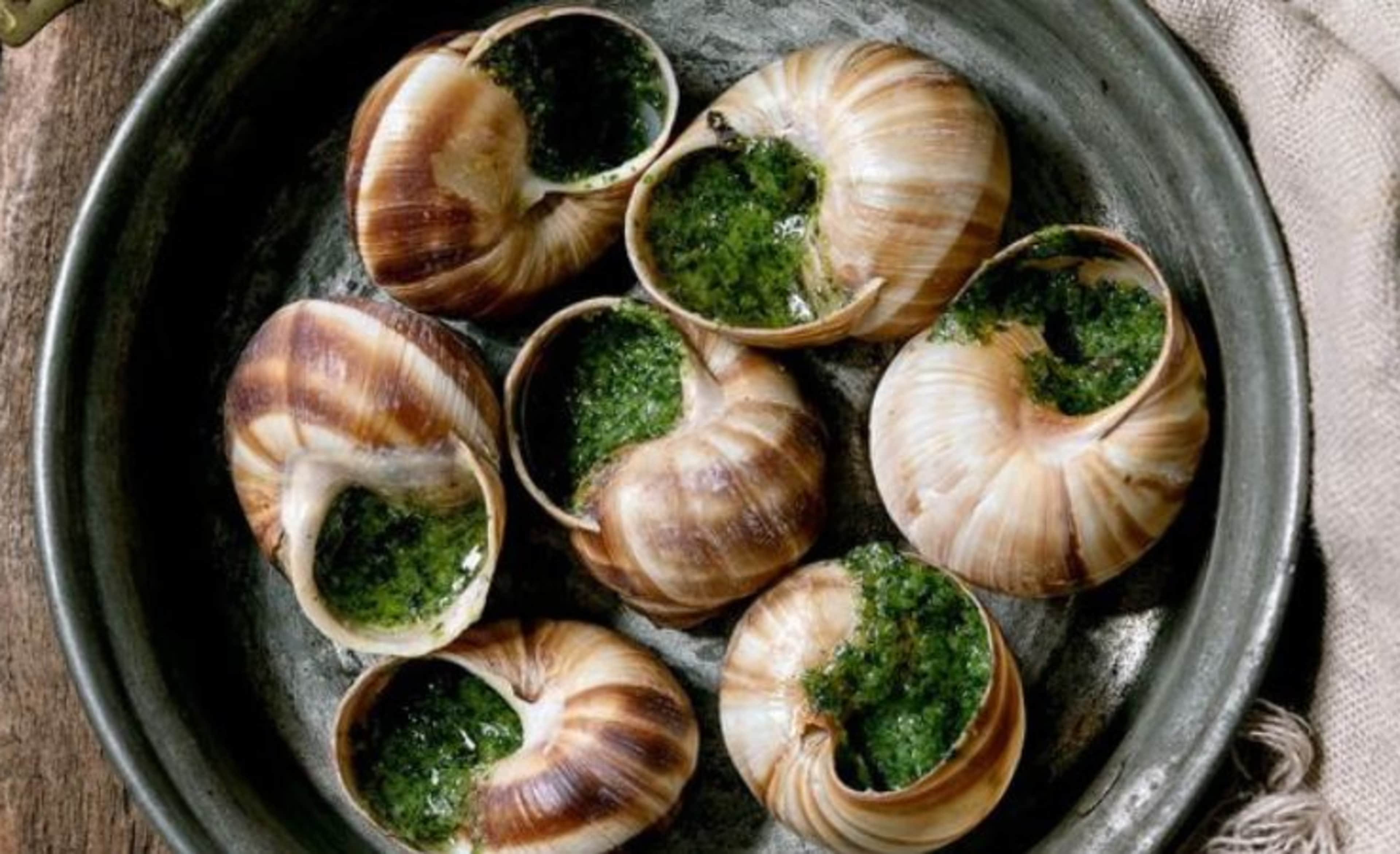 Snails again