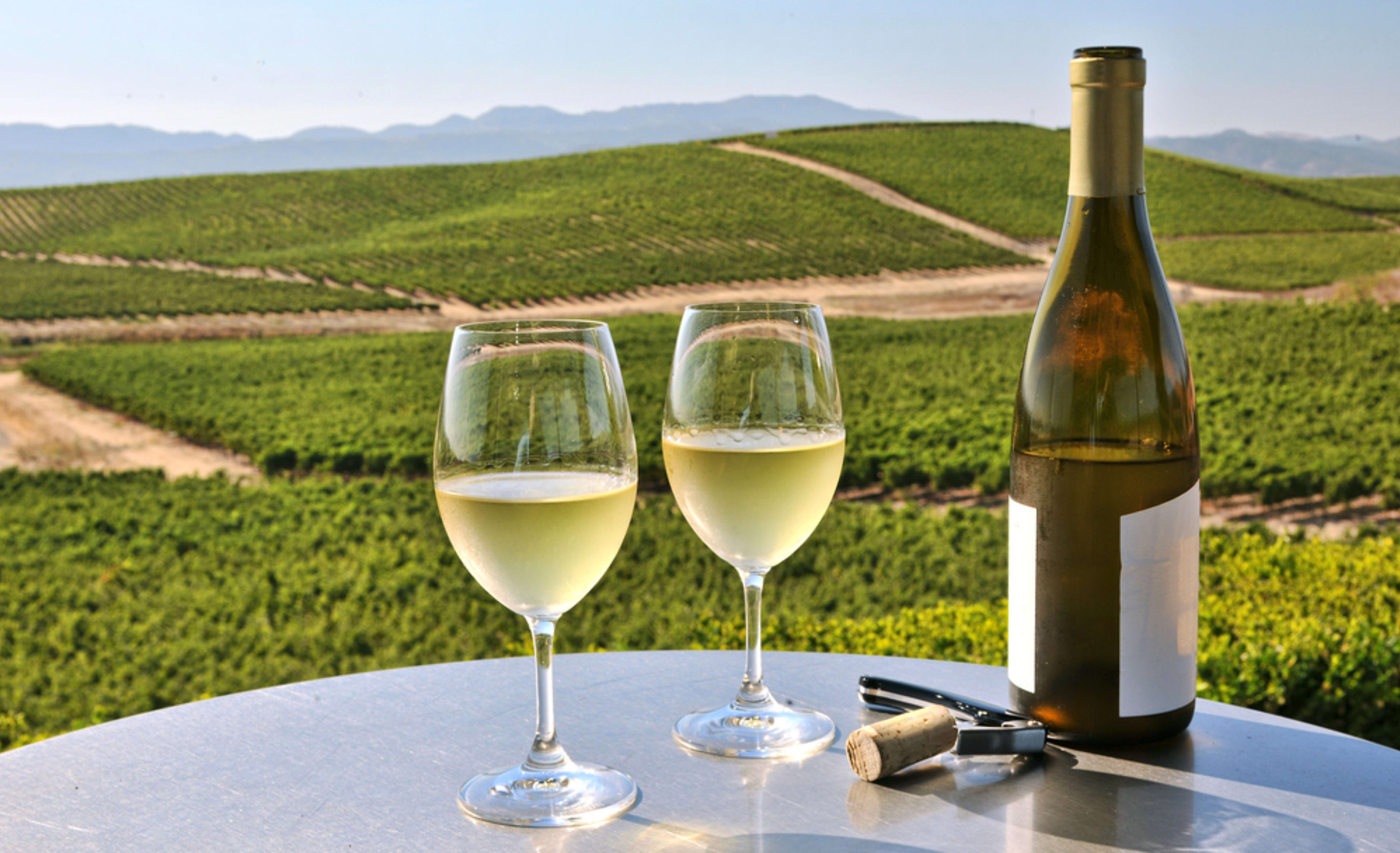 Napa valley wine 