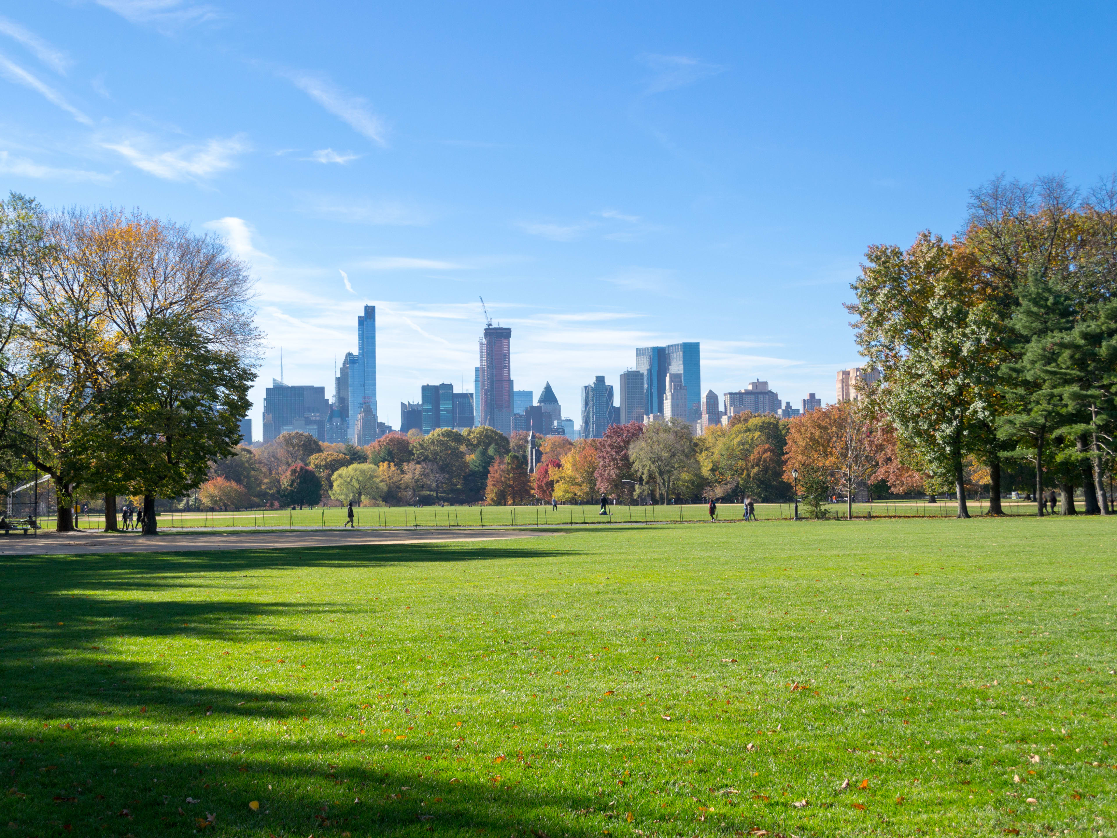 Great Lawn at Central Park