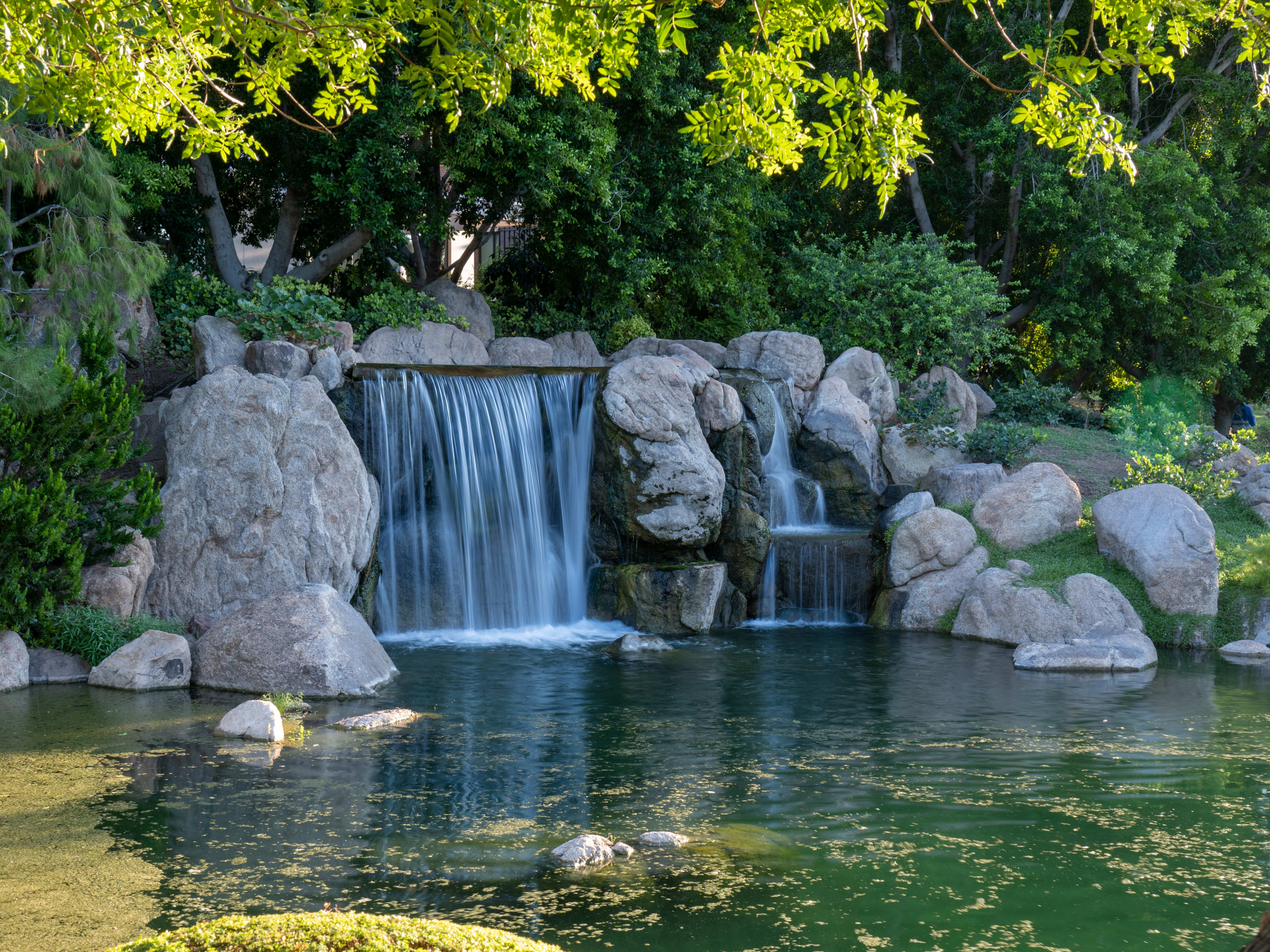 Japanese Friendship Garden and Its Can’t-Miss Neighbors 