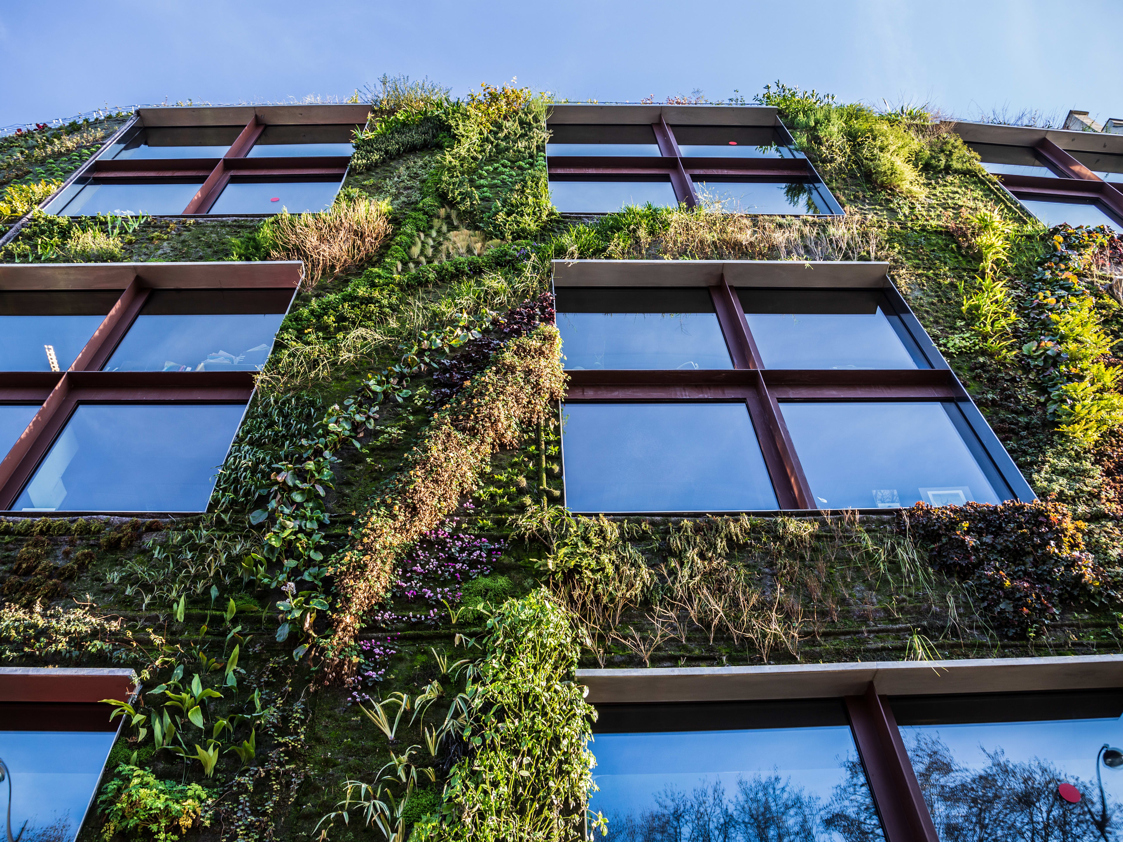 Musée du quai Branly