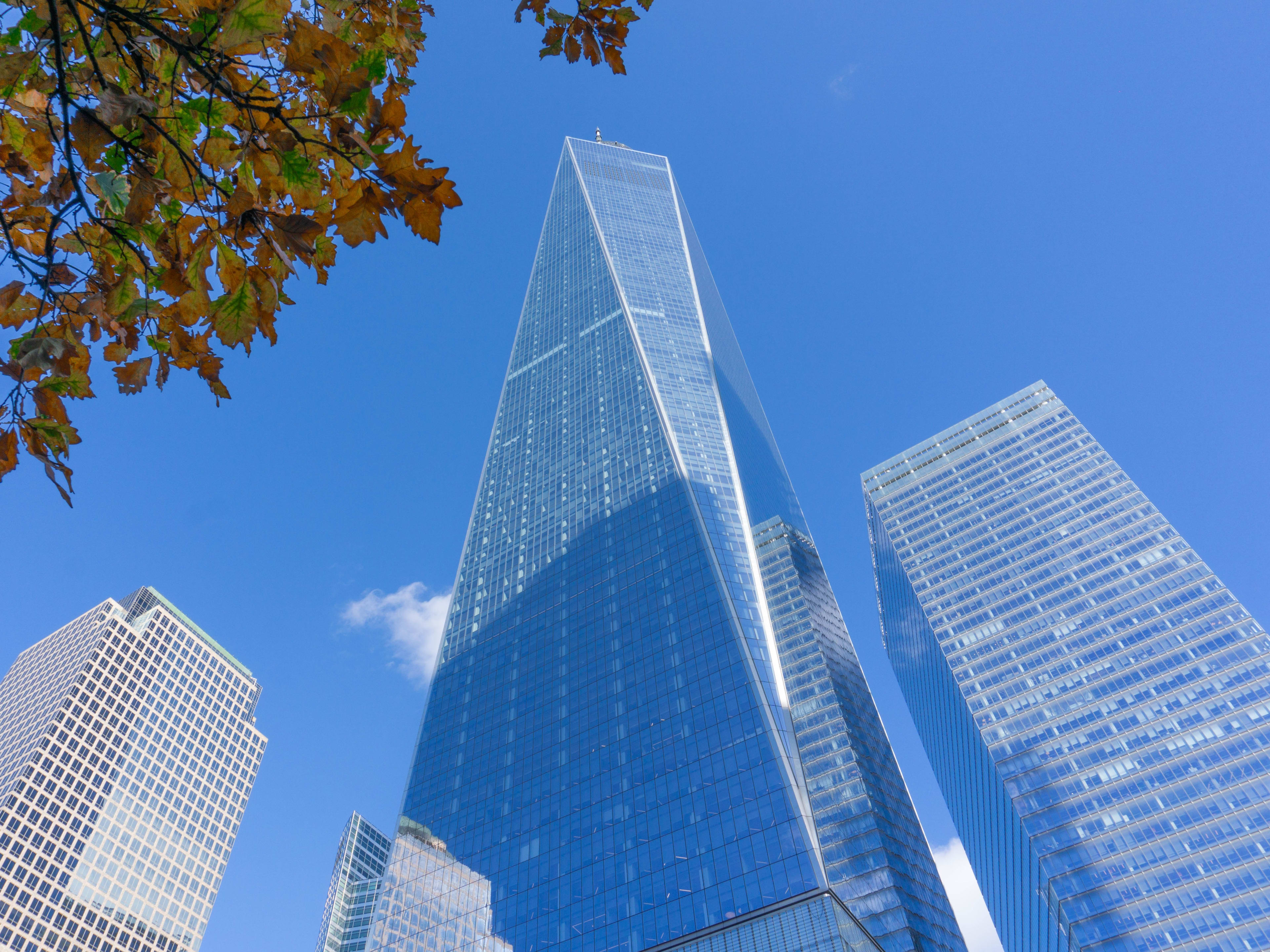 one world observatory