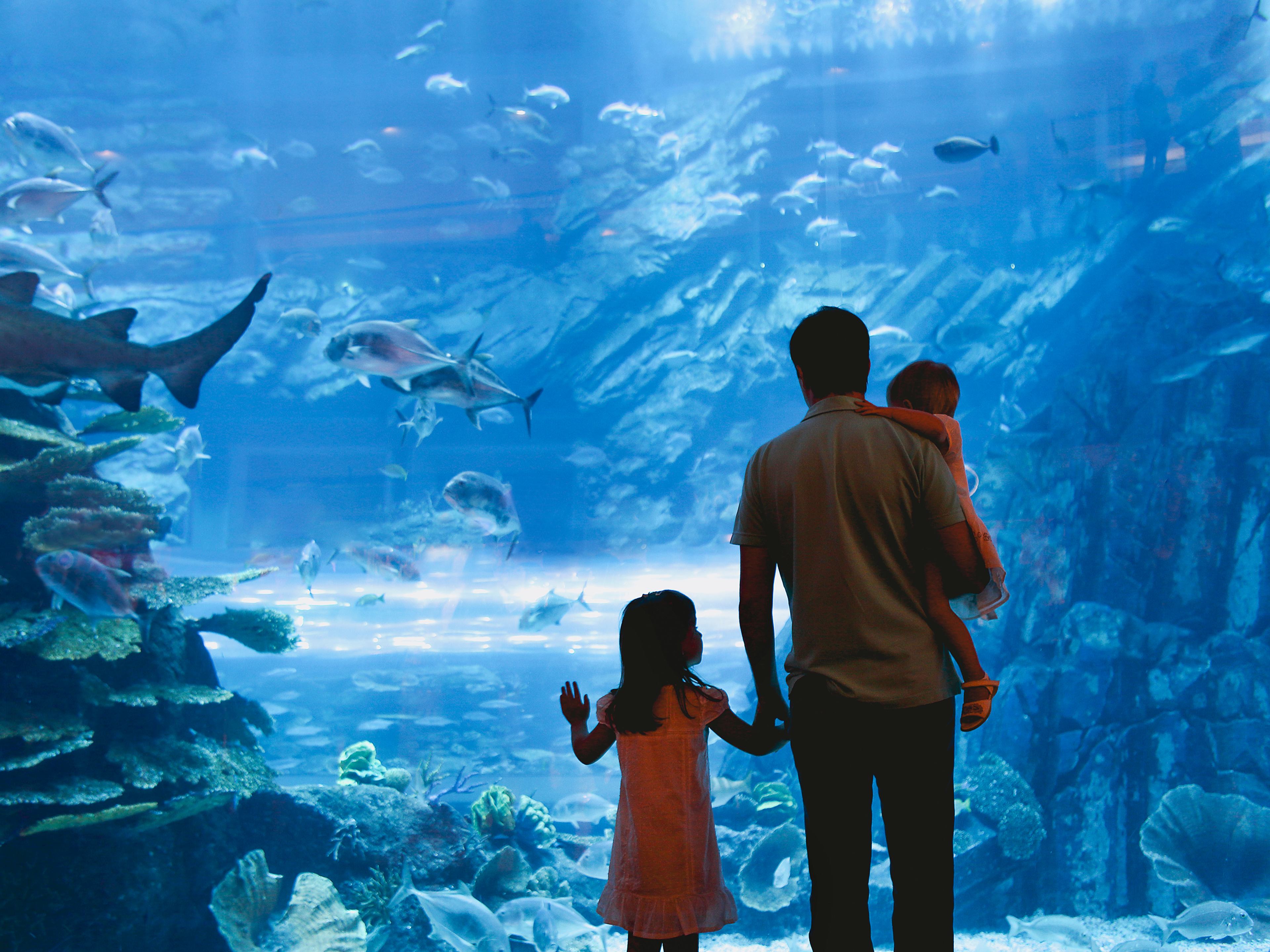 Family at an Aquarium