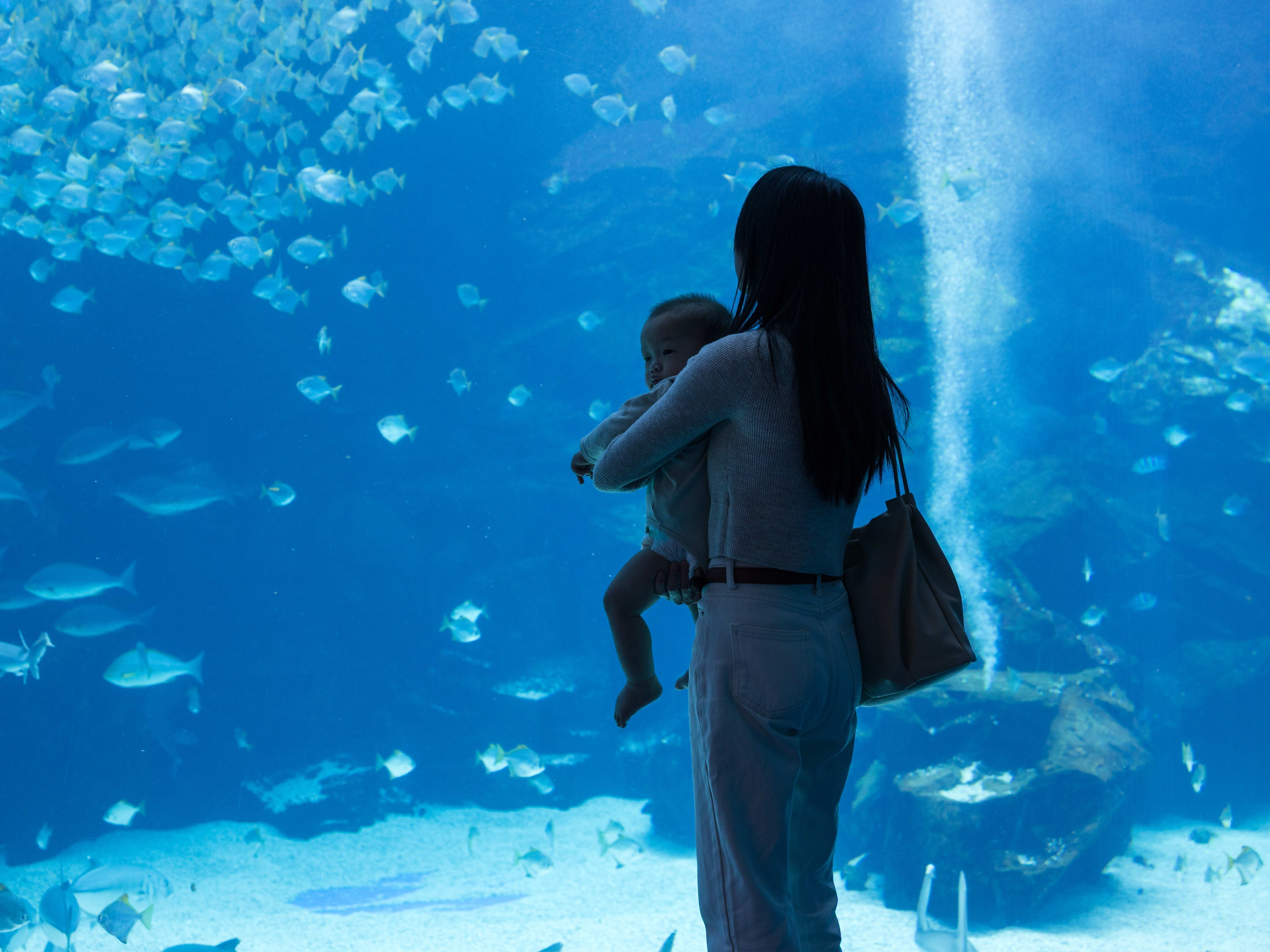mother and baby in an aquarium