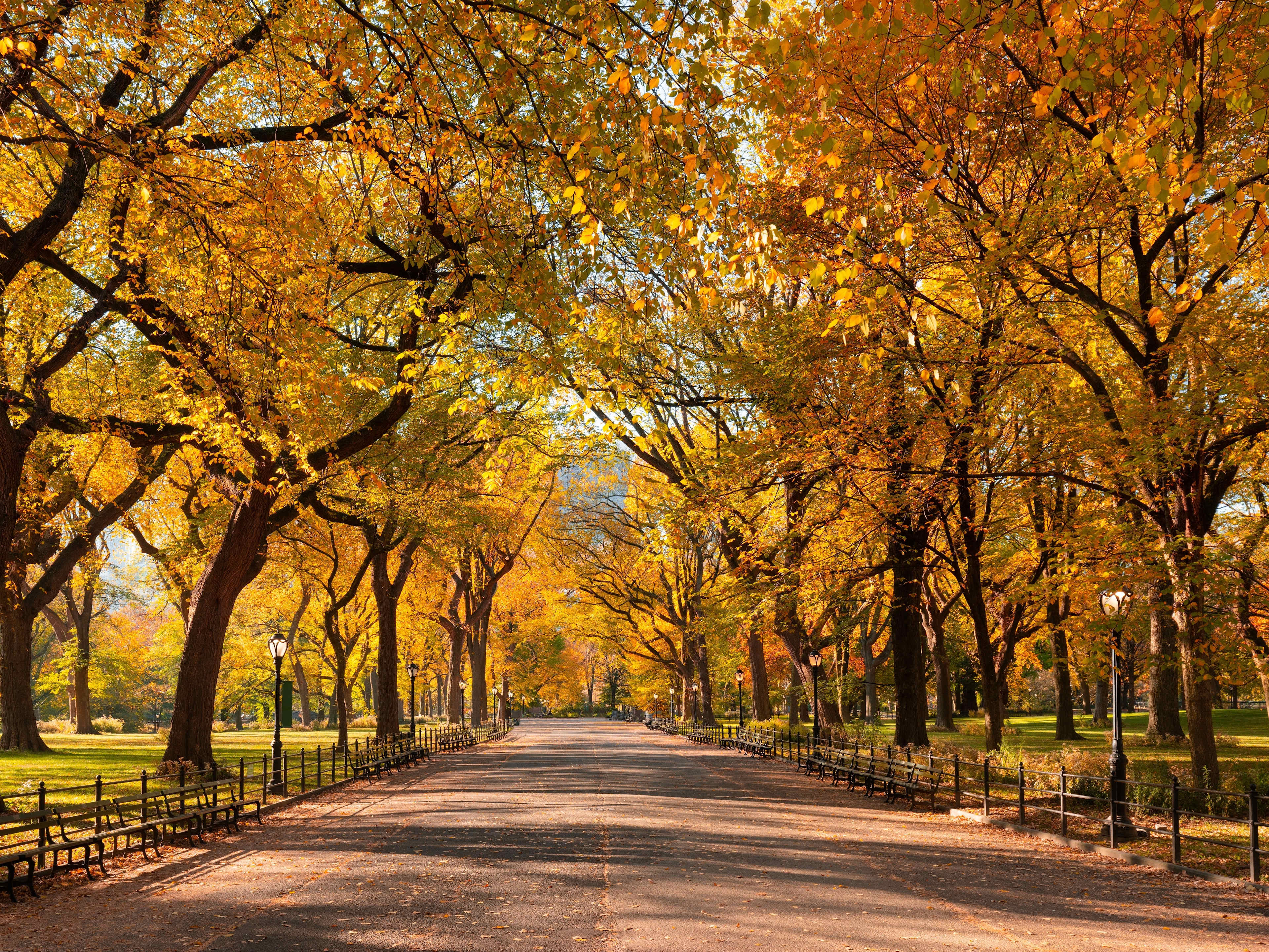 Central Park