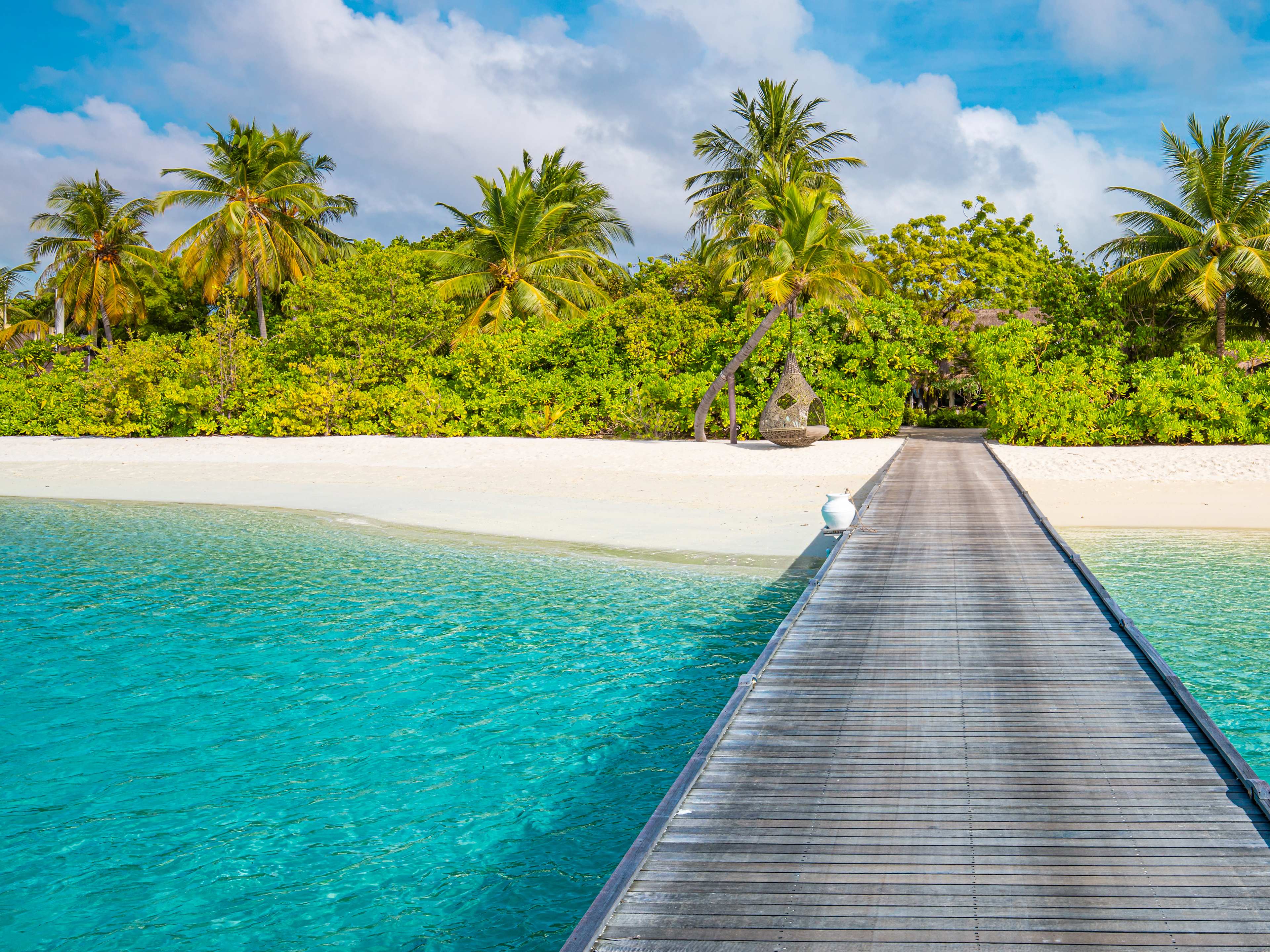 a boardwalk leading into hawaii's magical tropical jungle