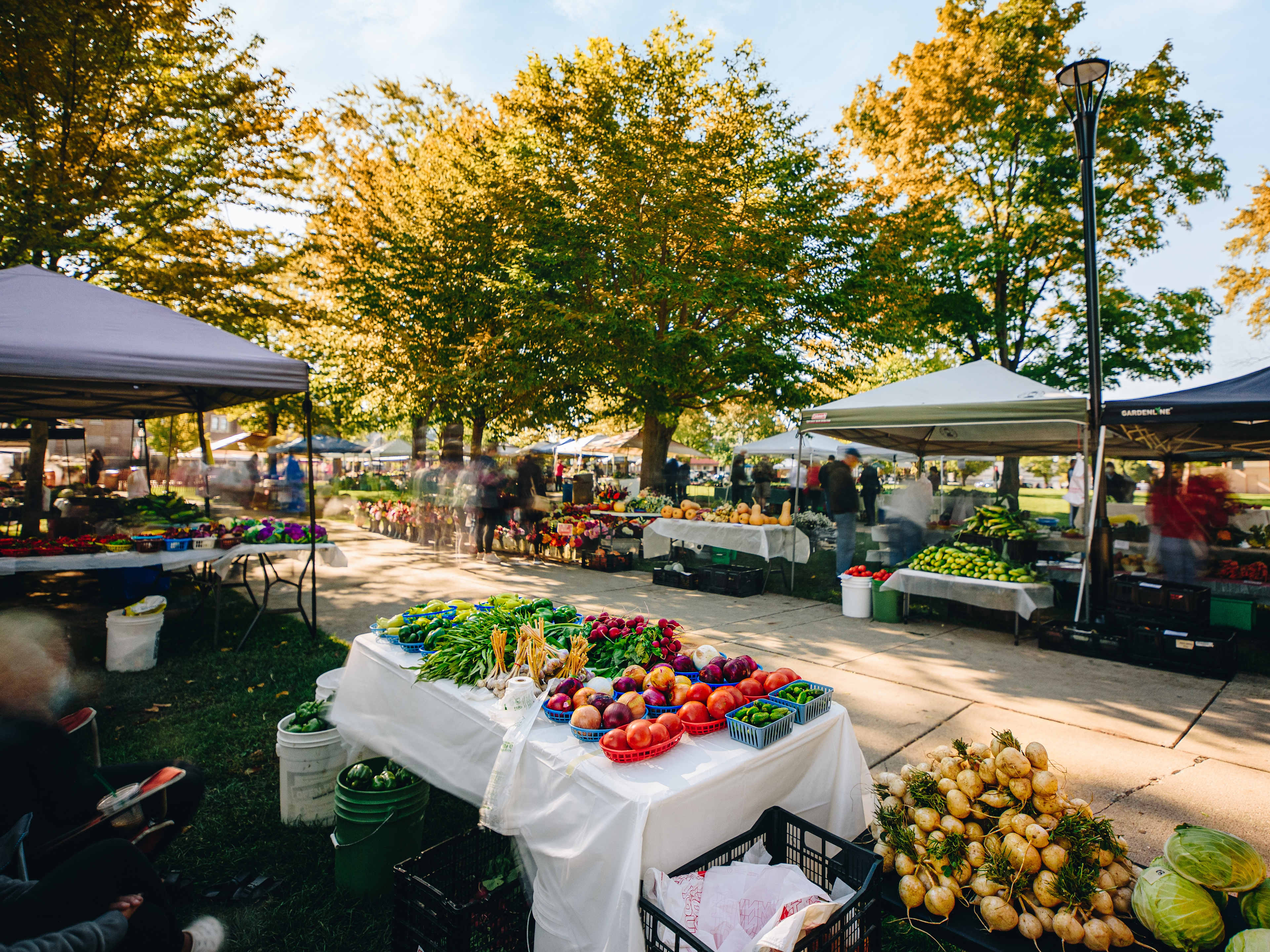 Food Market