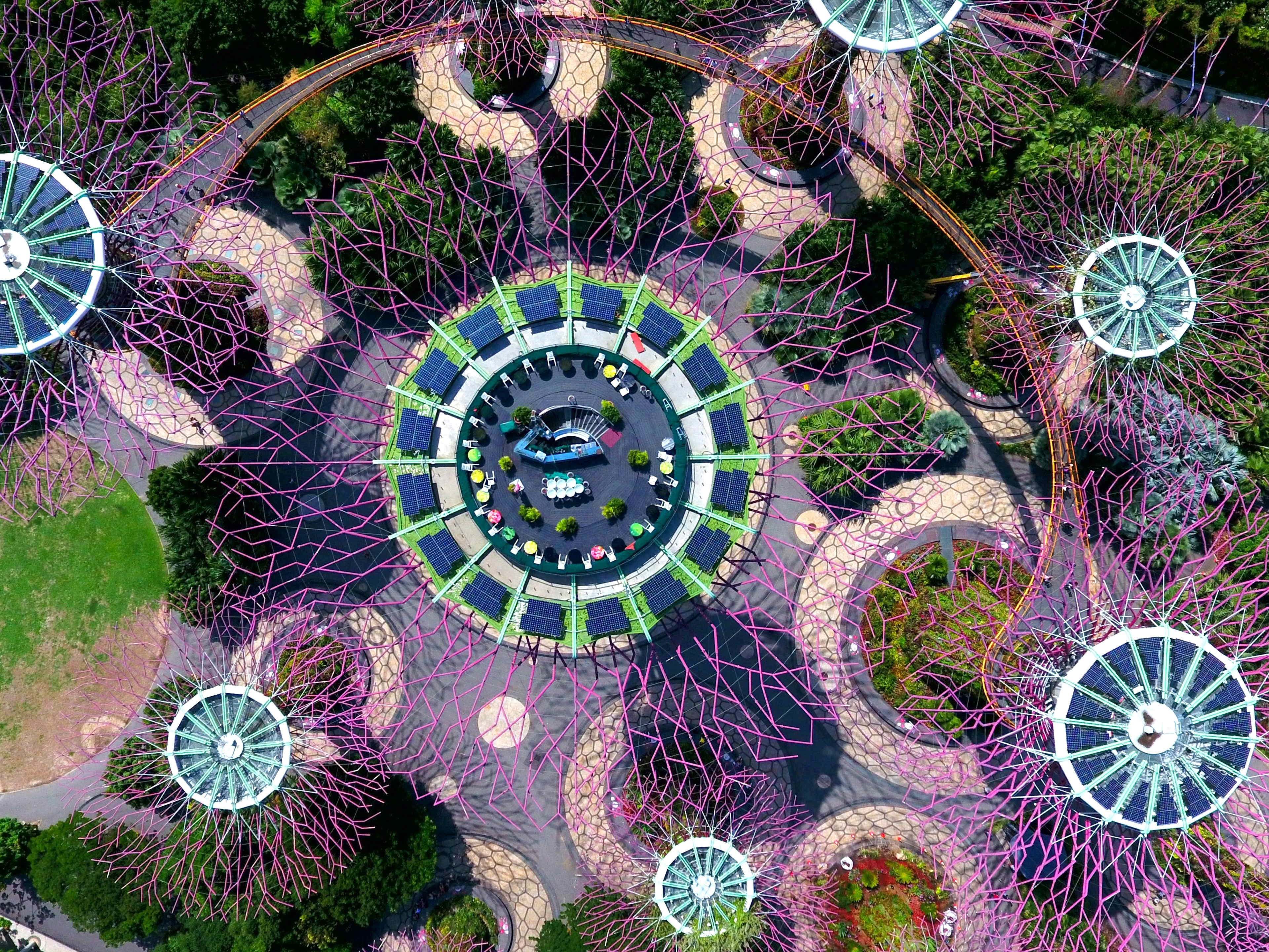 Aerial View of Gardens by the Bay