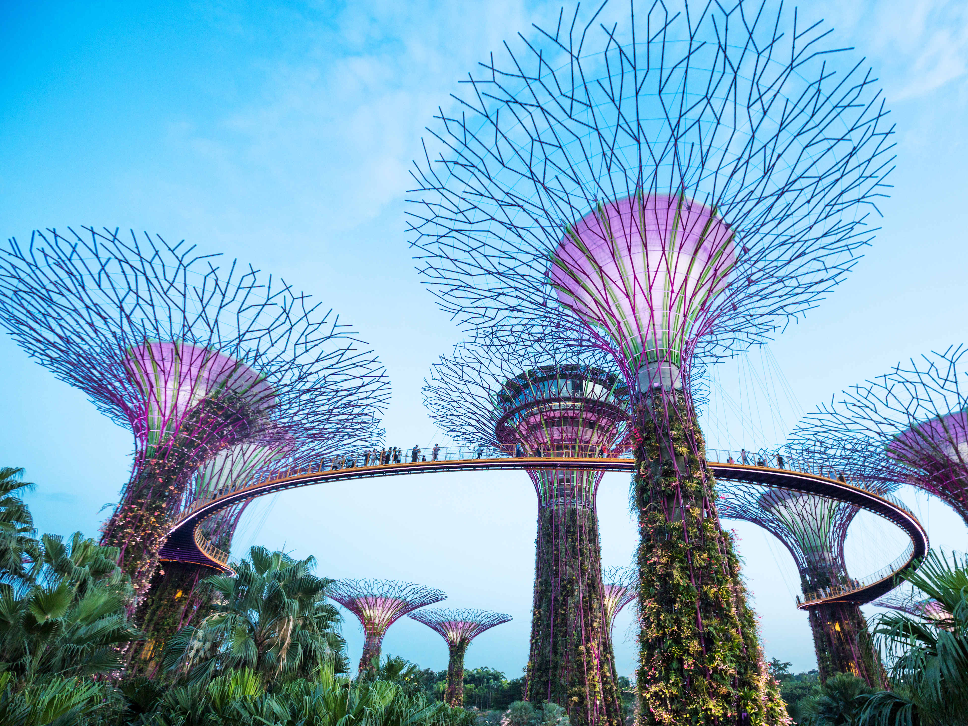 Gardens by the Bay