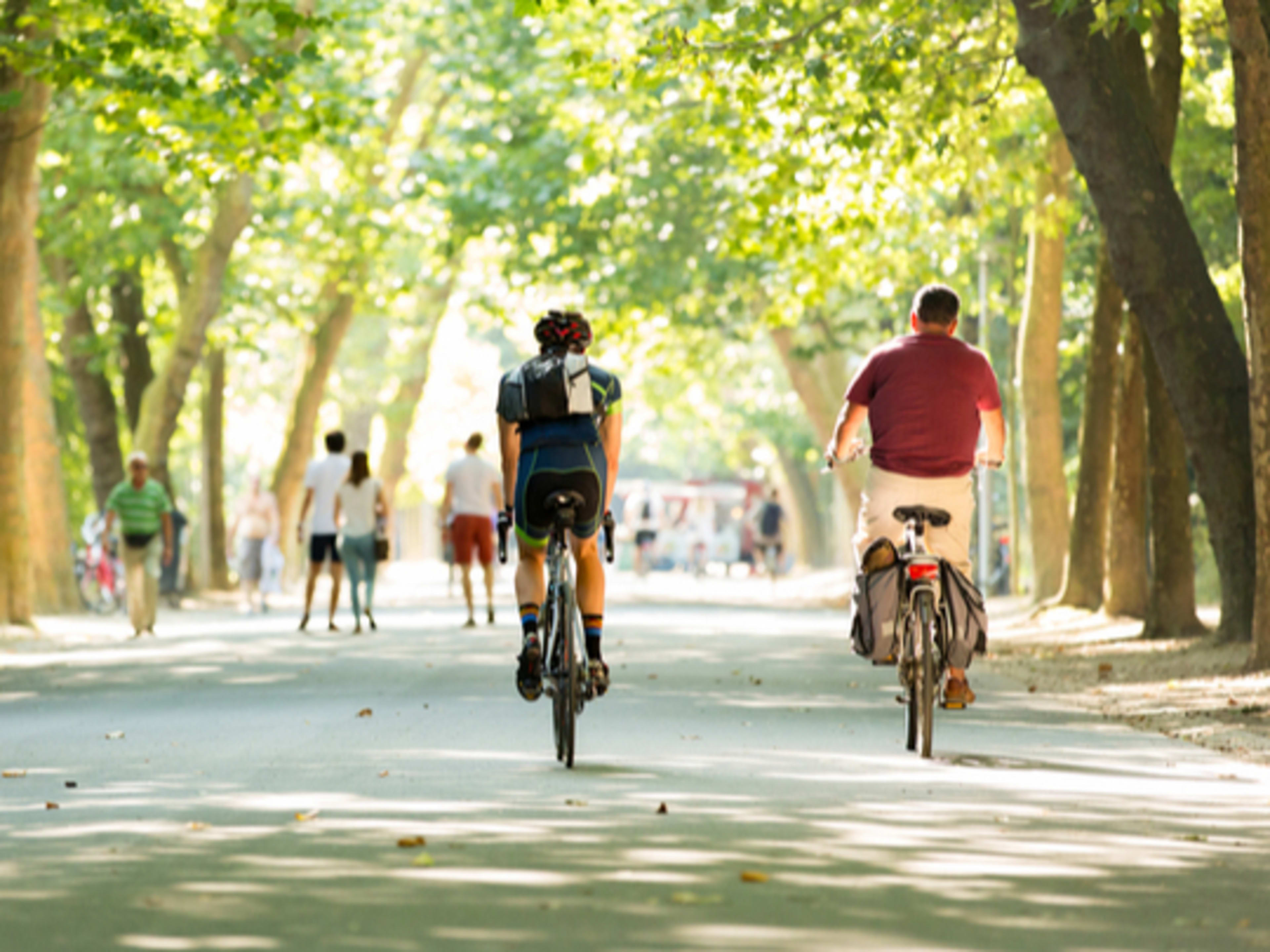 Choses à faire à Amsterdam pour les étudiants | Go City®