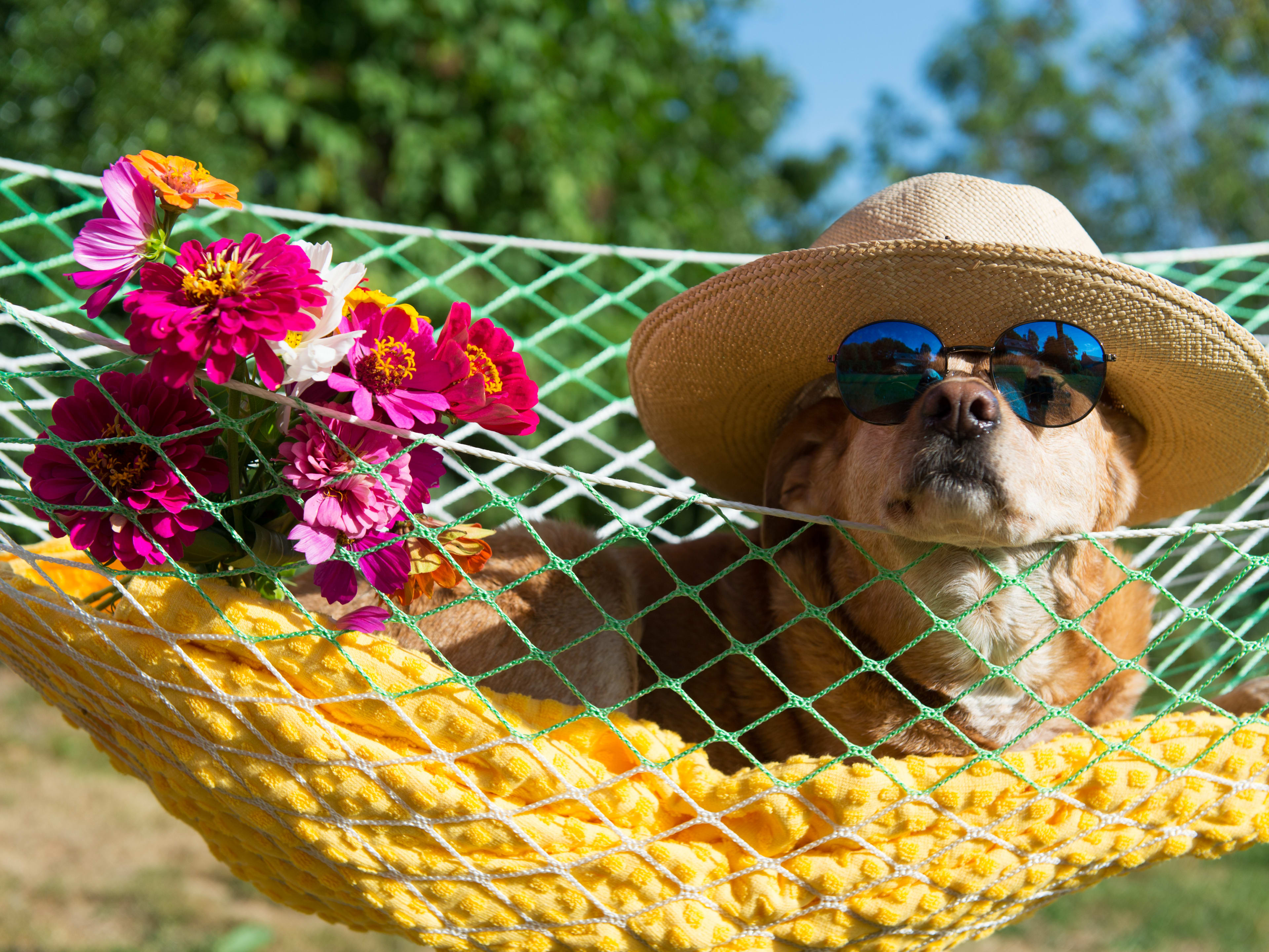 The Lazy Travellers Guide to Holiday Planning