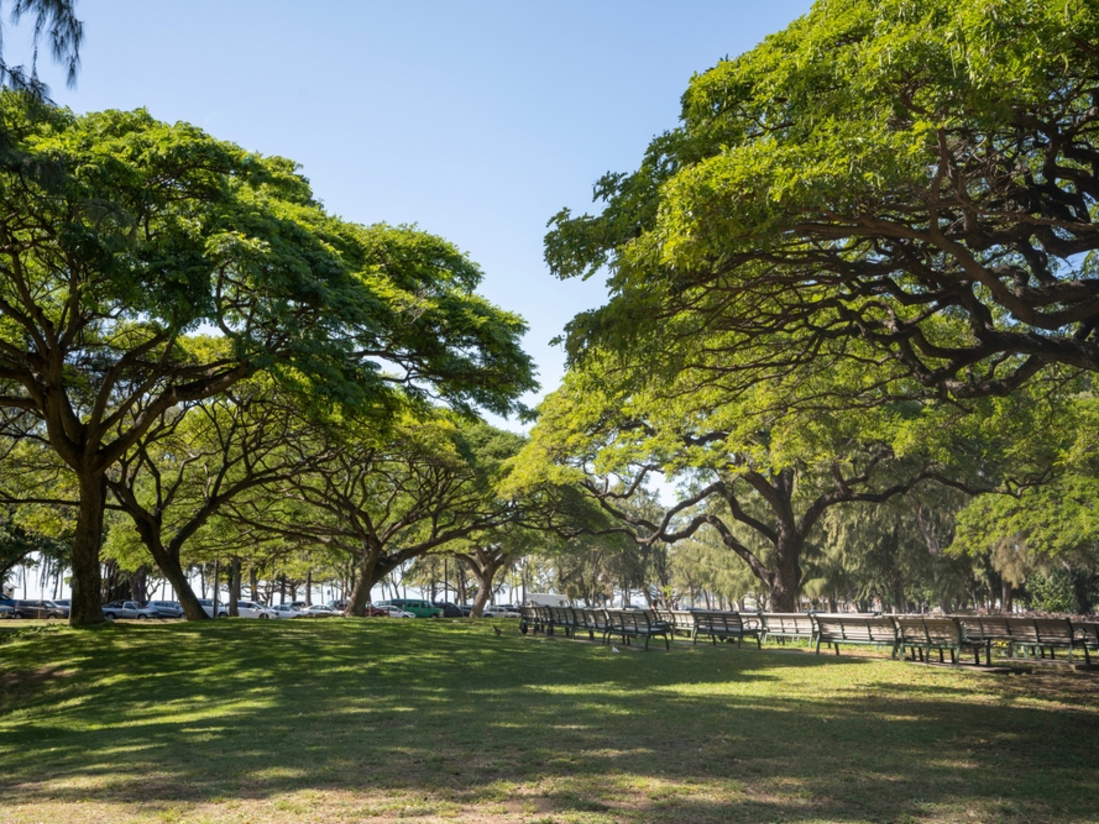 Beaches, banyan-shaded lawns, coastal paths and ocean breezes: the best  parks on Oahu | Go City®