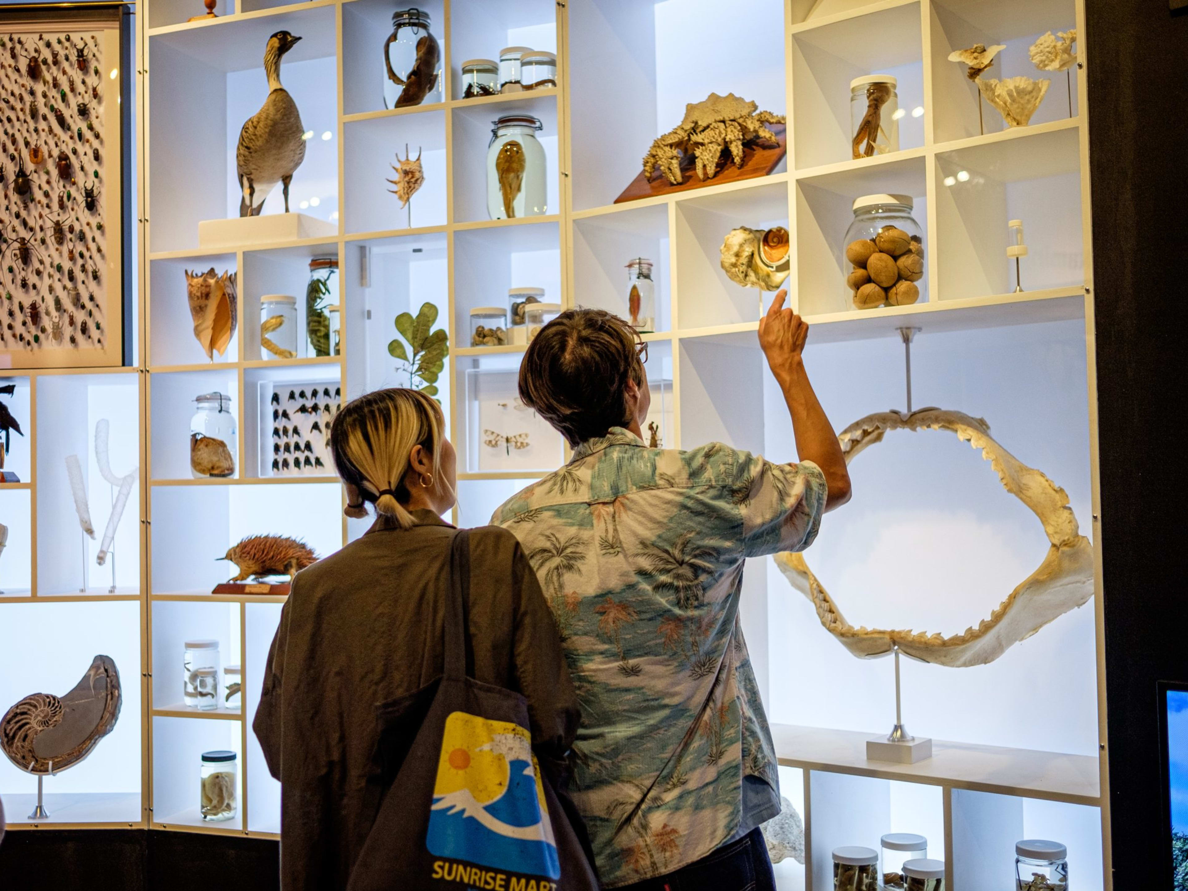 Bishop Museum