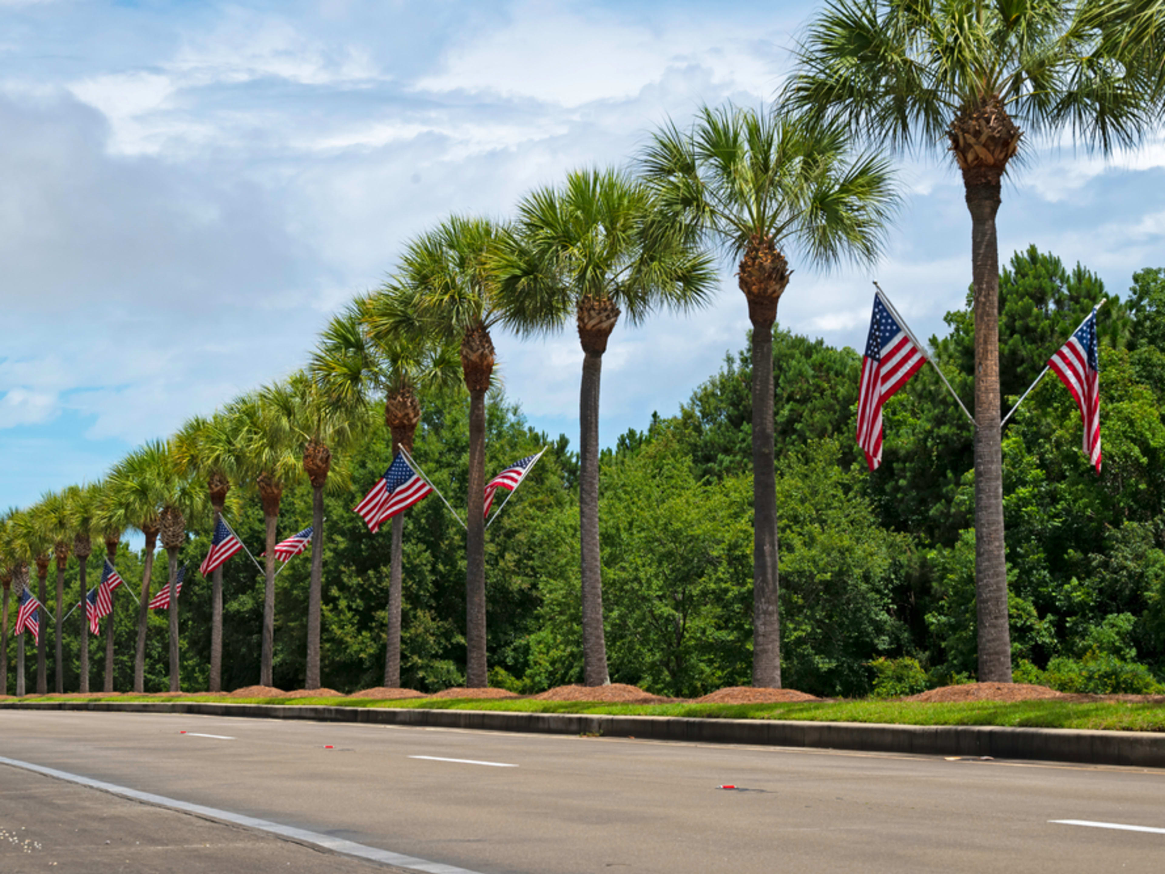 Hilera de palmeras con banderas de Estados Unidos en Orlando. 4 de julio en Orlando.