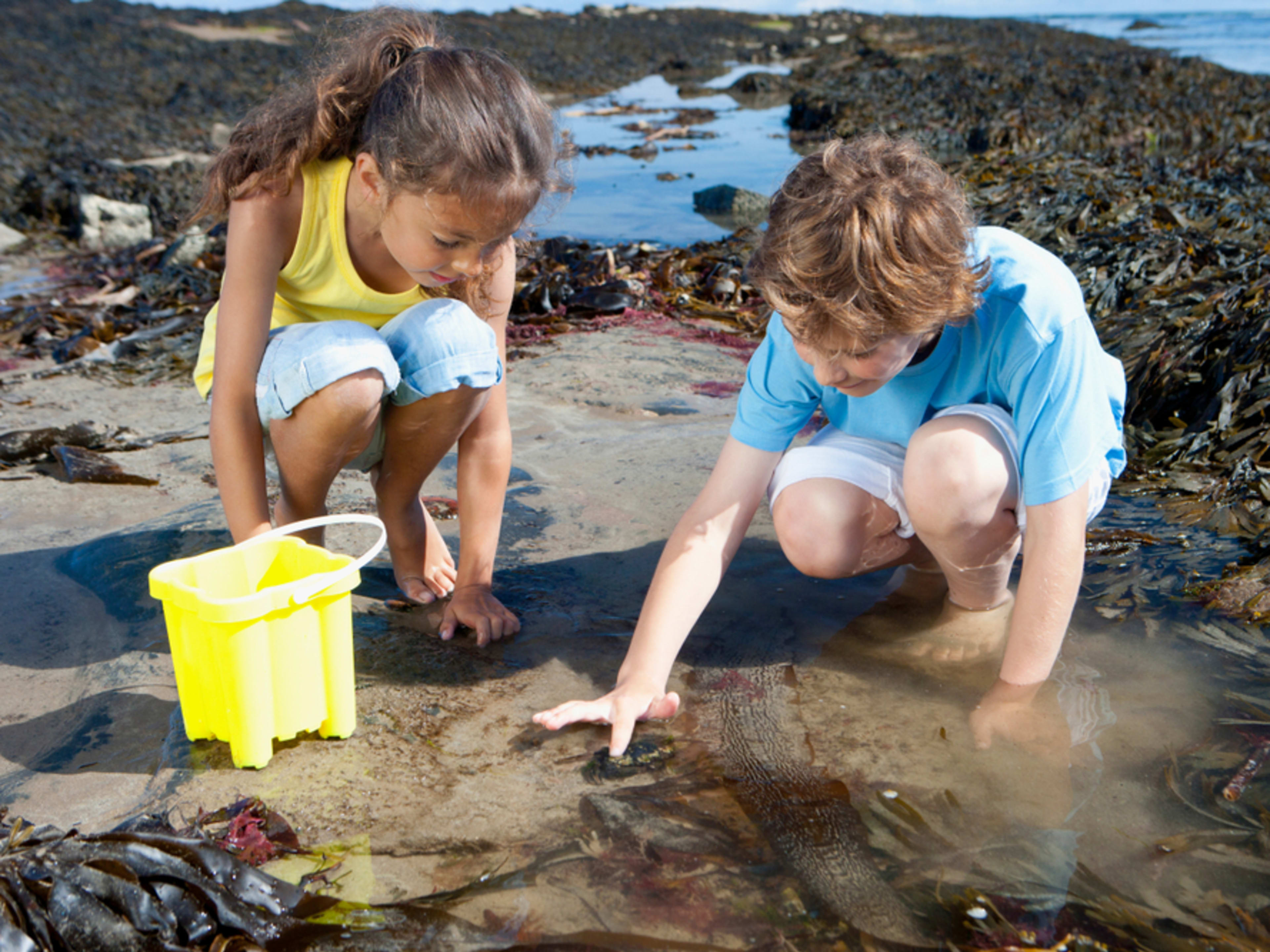 Kids tide pooling