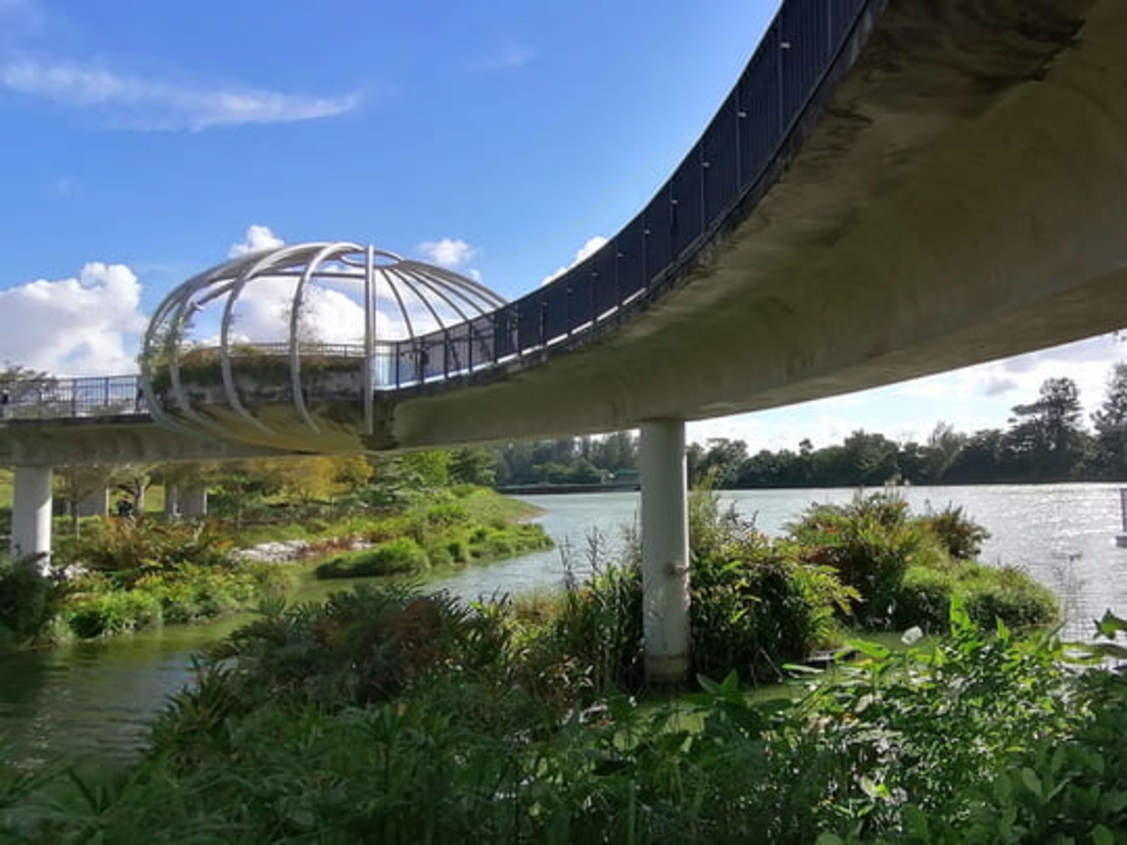 The Jewel Bridge at Punggol Waterway park in Singapore.