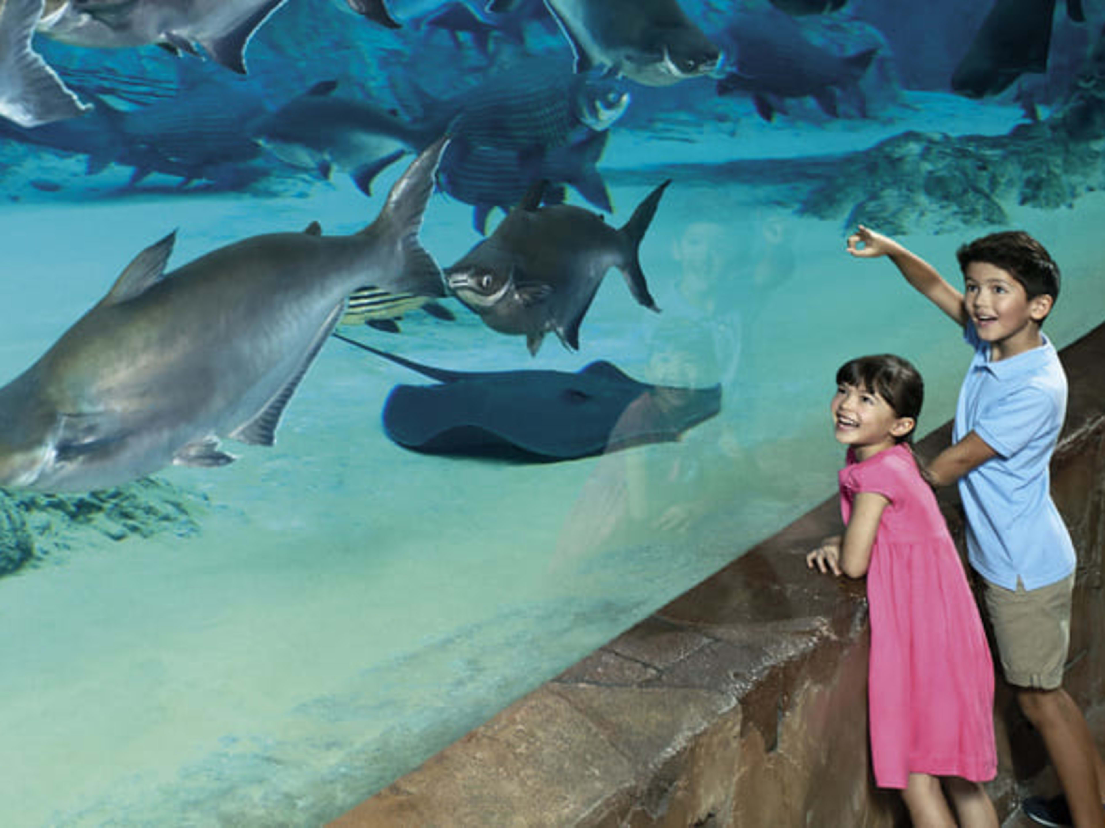 The Mekong River zone at River Wonders wildlife park in Singapore.