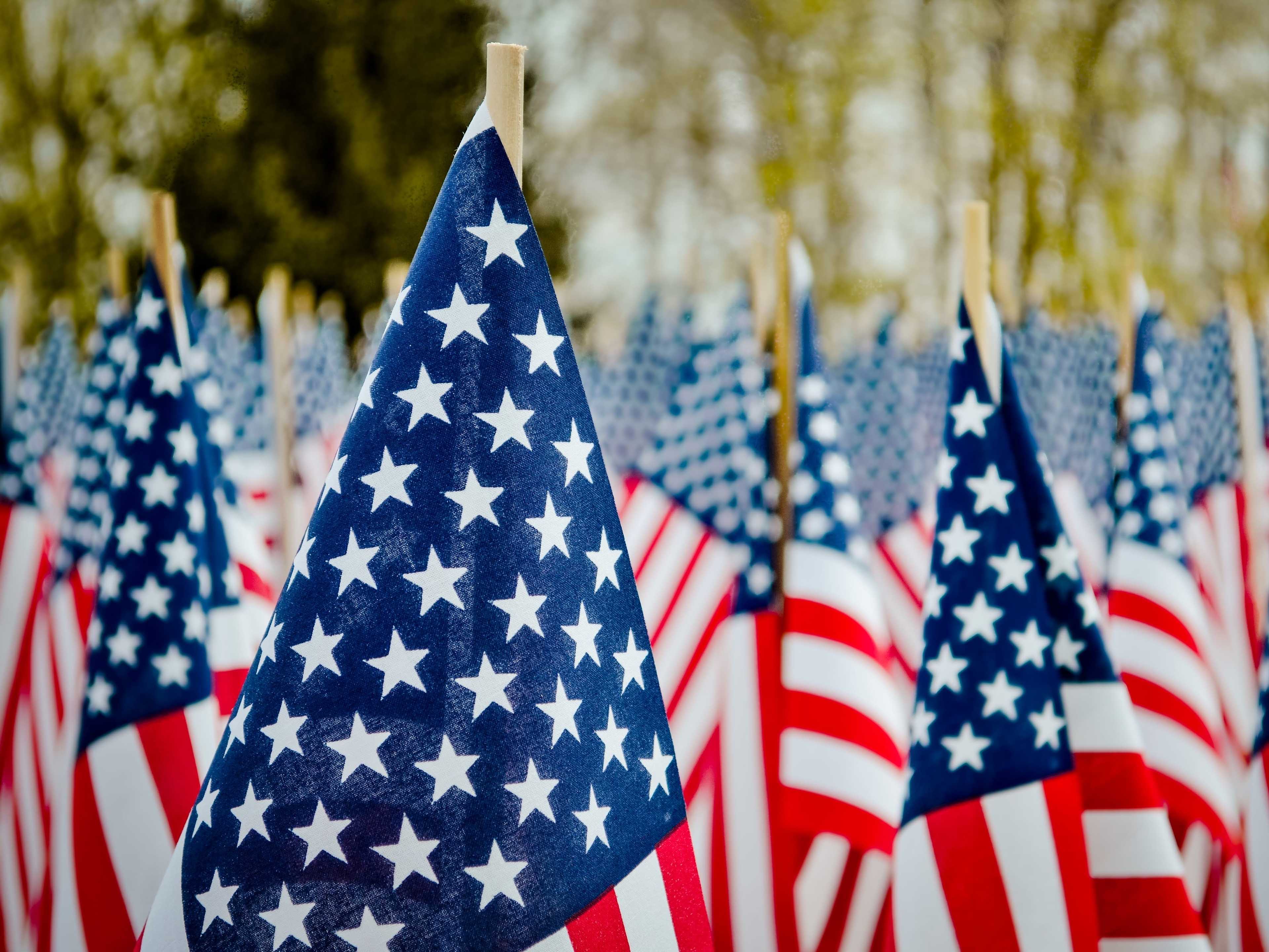 american flags on memorial day