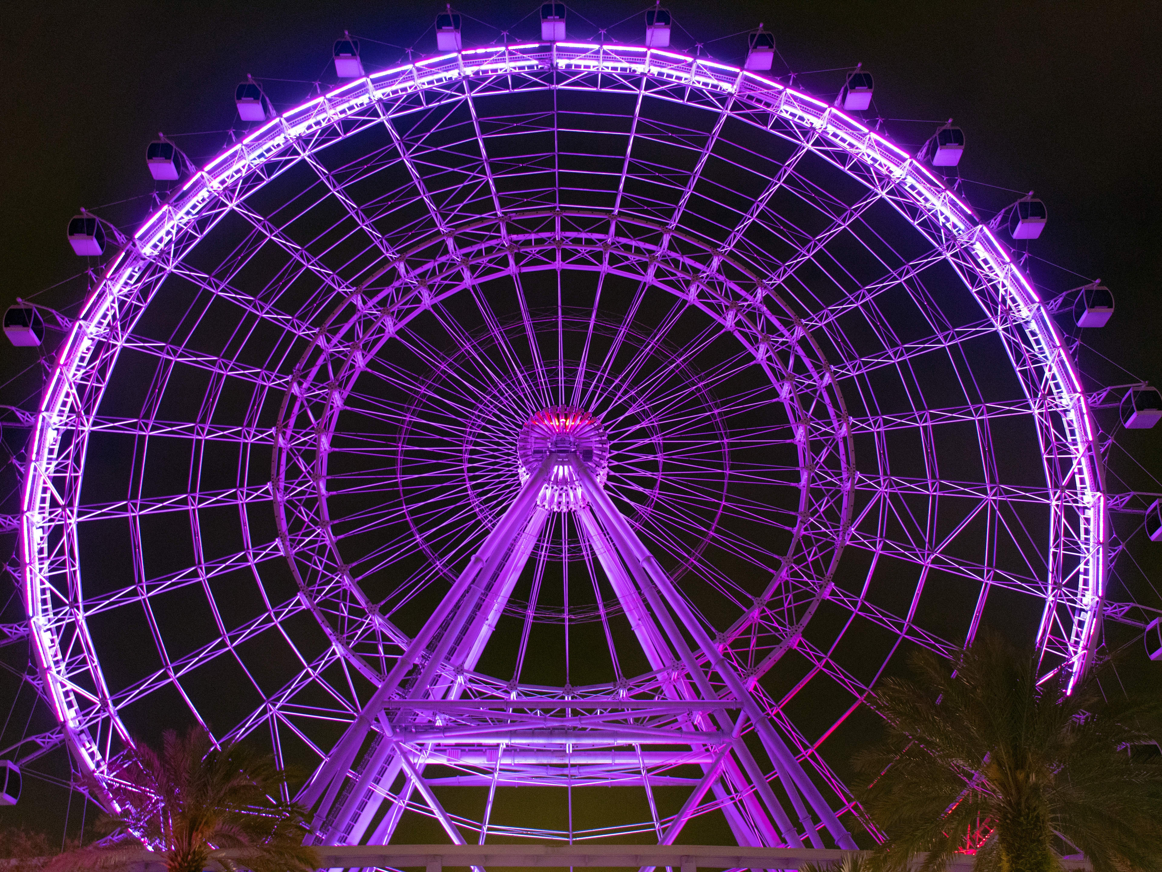 the orlando eye in icon park, lit up in neon lights at night