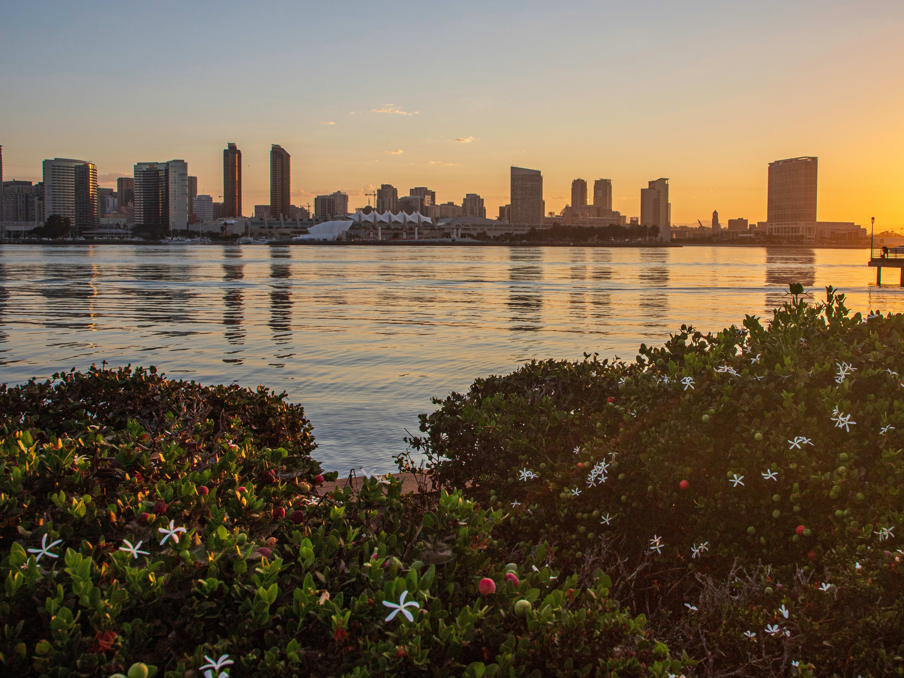 san-diego-skyline-sunrise-coronado-bridge