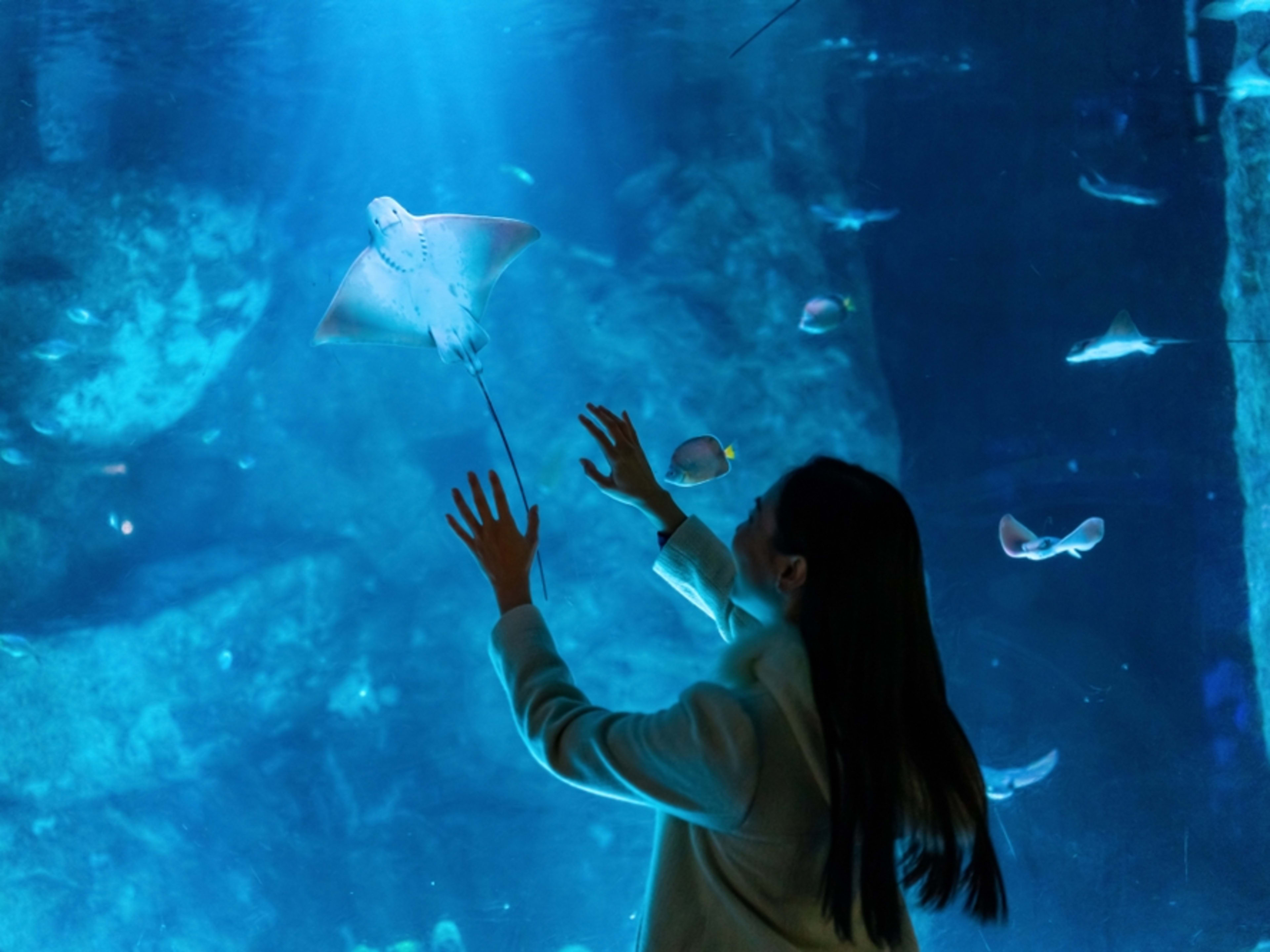 Girl at aquarium