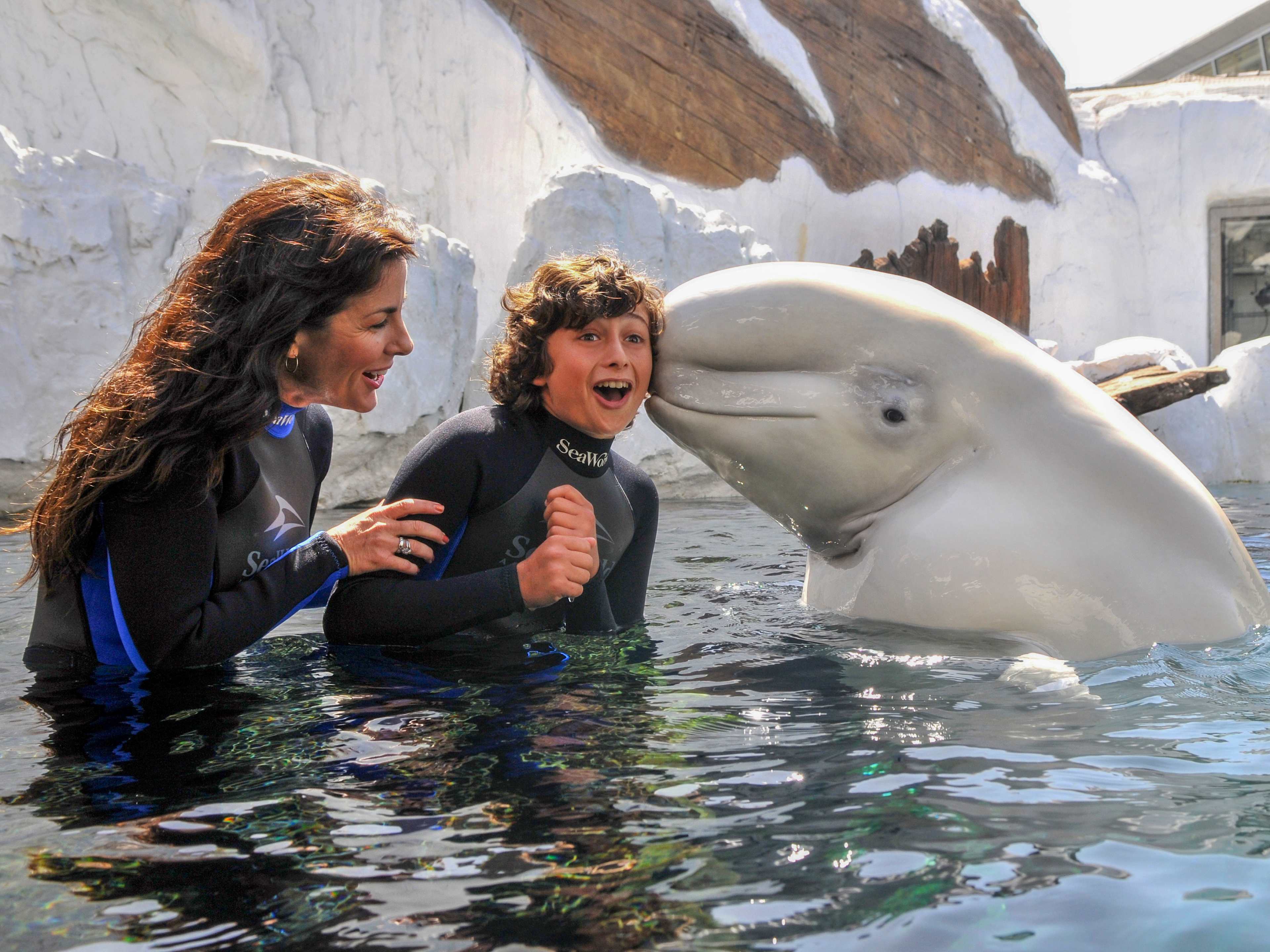 Mother and Son with a Beluga Whale at SeaWorld 