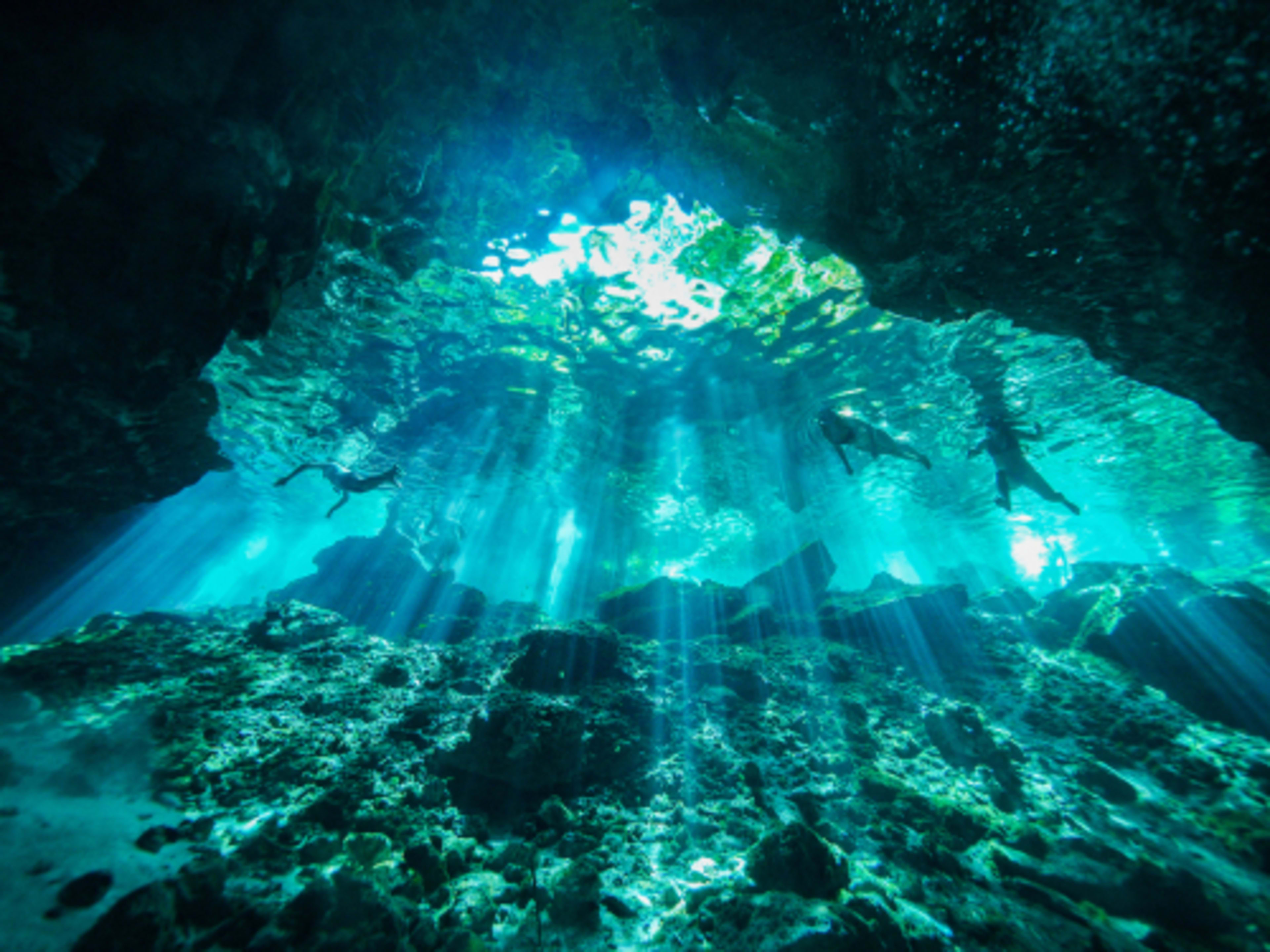 Gente buceando en un cenote en Cancún. Cosas que hacer en Cancún en invierno.