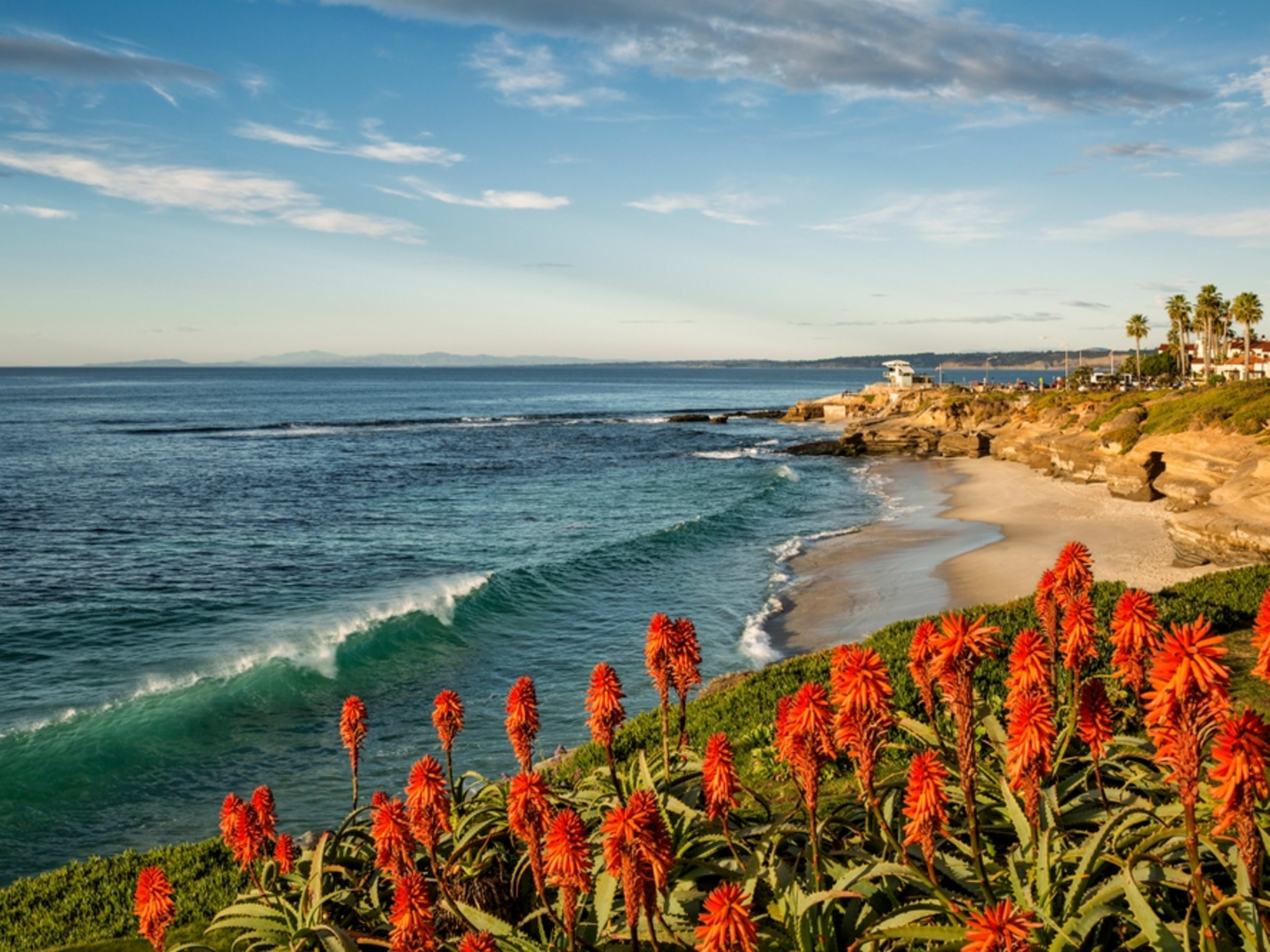 Fun Facts About San Diego: Your Essential Trivia - Go City