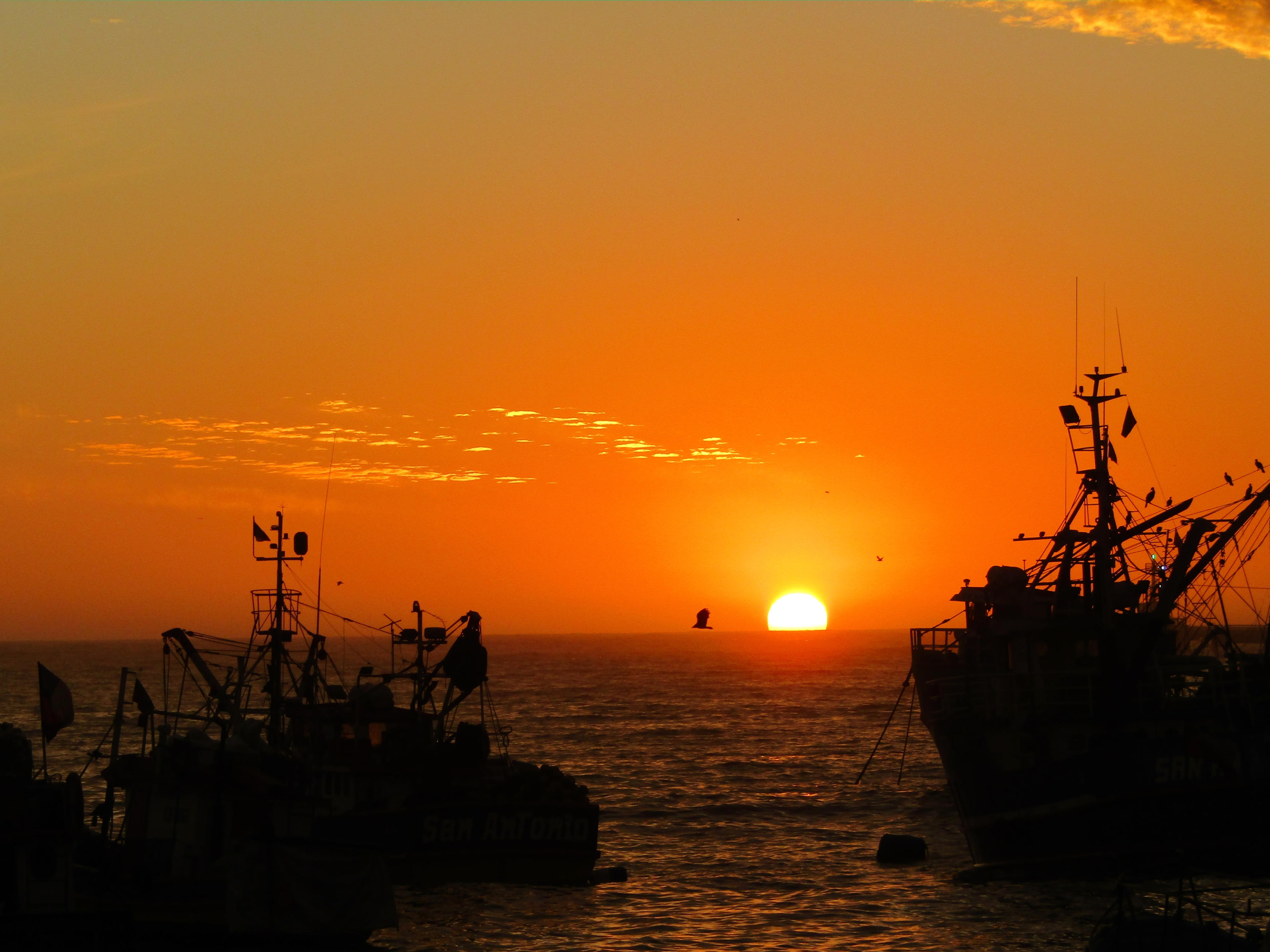ships silhouetted by san antonio's sunset