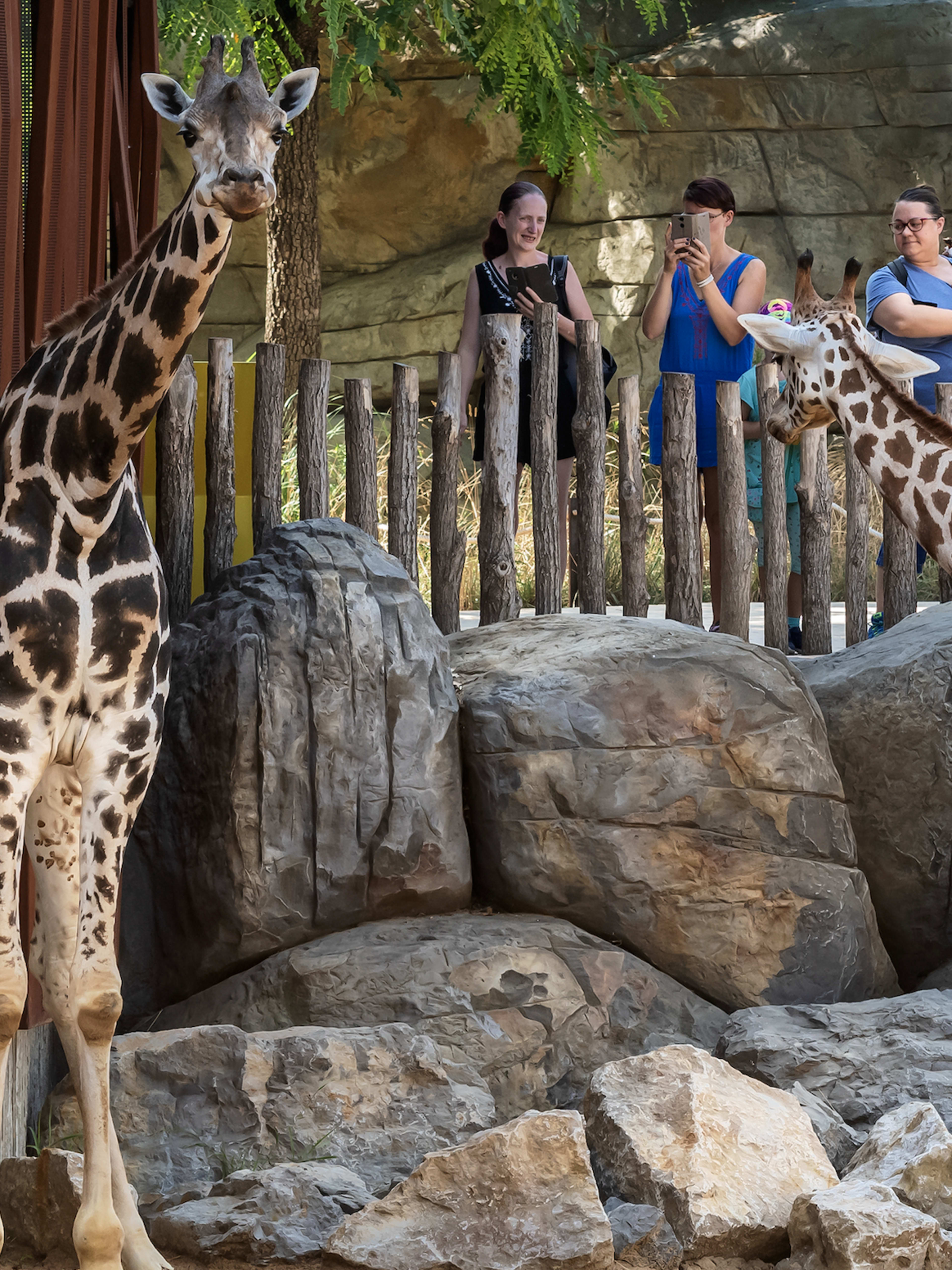 Zoo von Barcelona