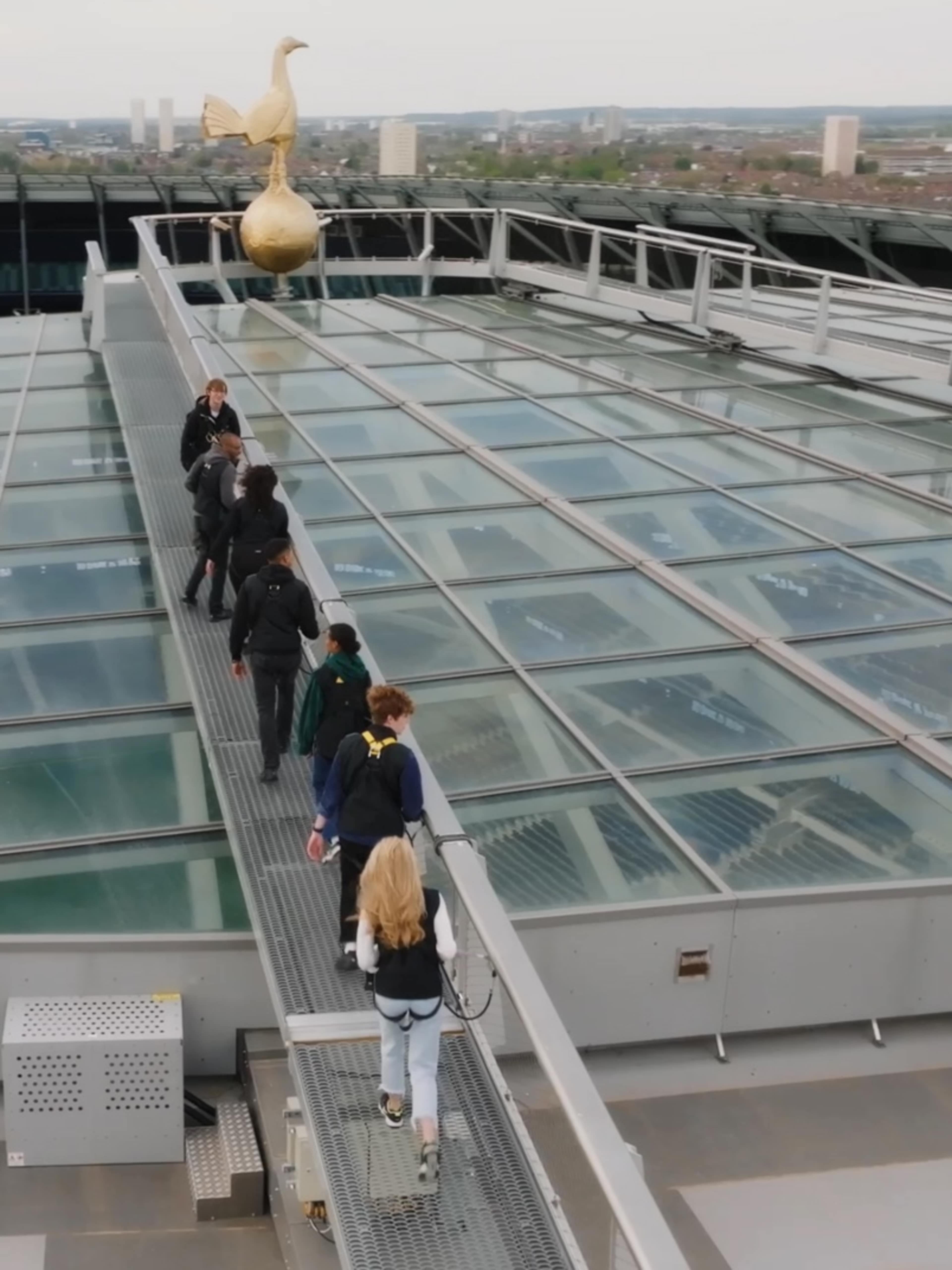 The Dare Skywalk