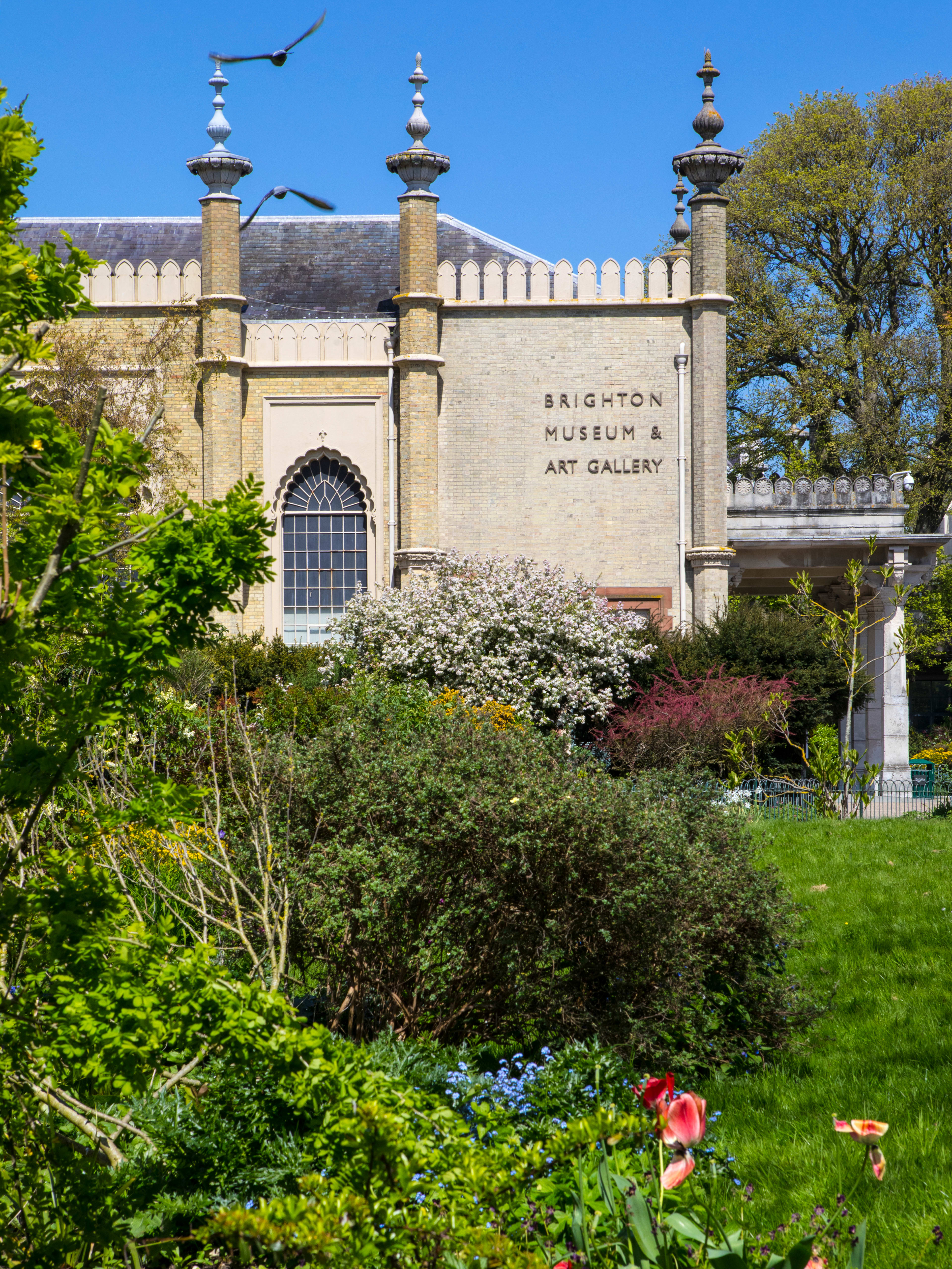 Museu e Galeria de Arte de Brighton
