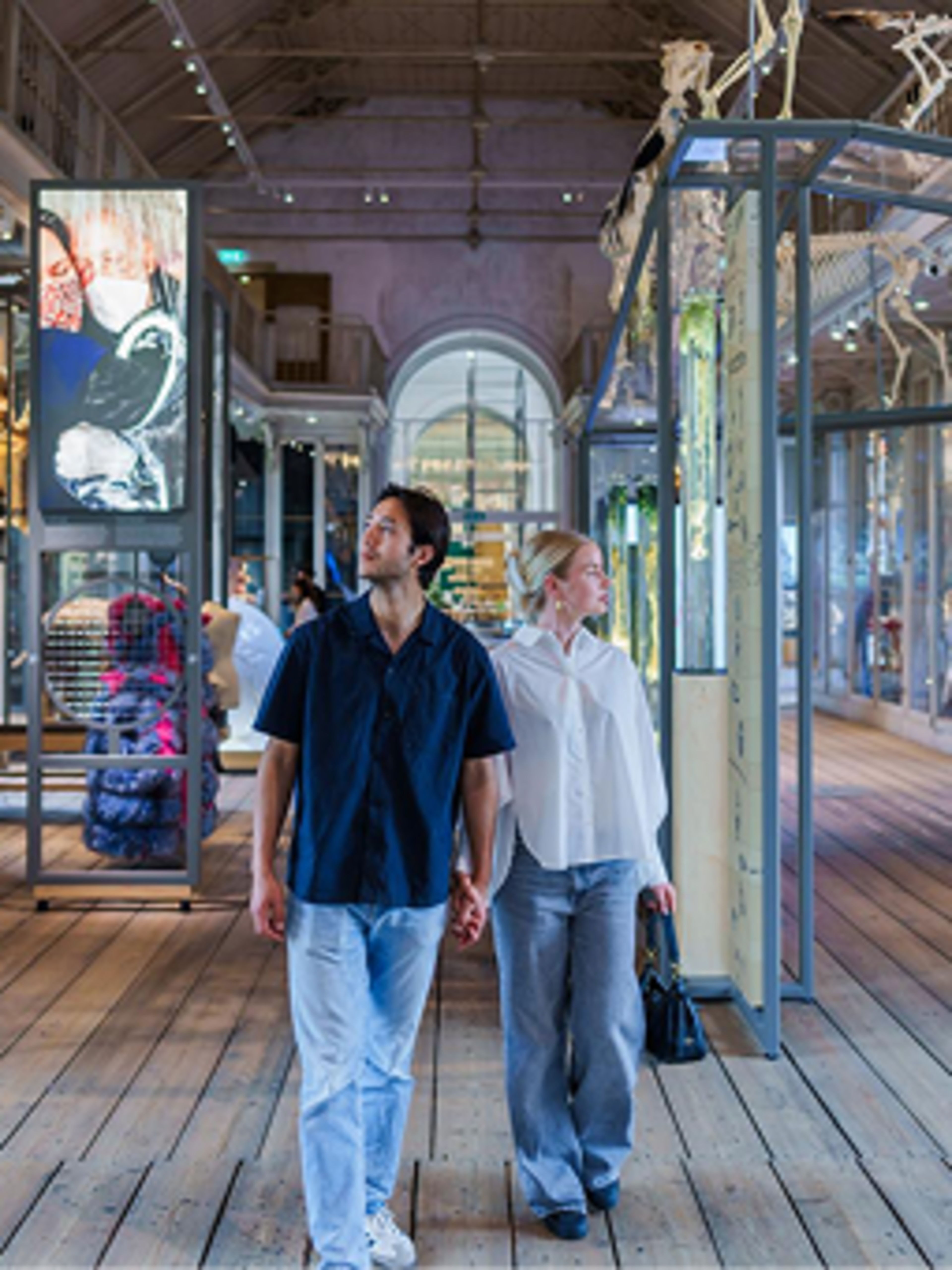 ARTIS-Groote Museum Ámsterdam