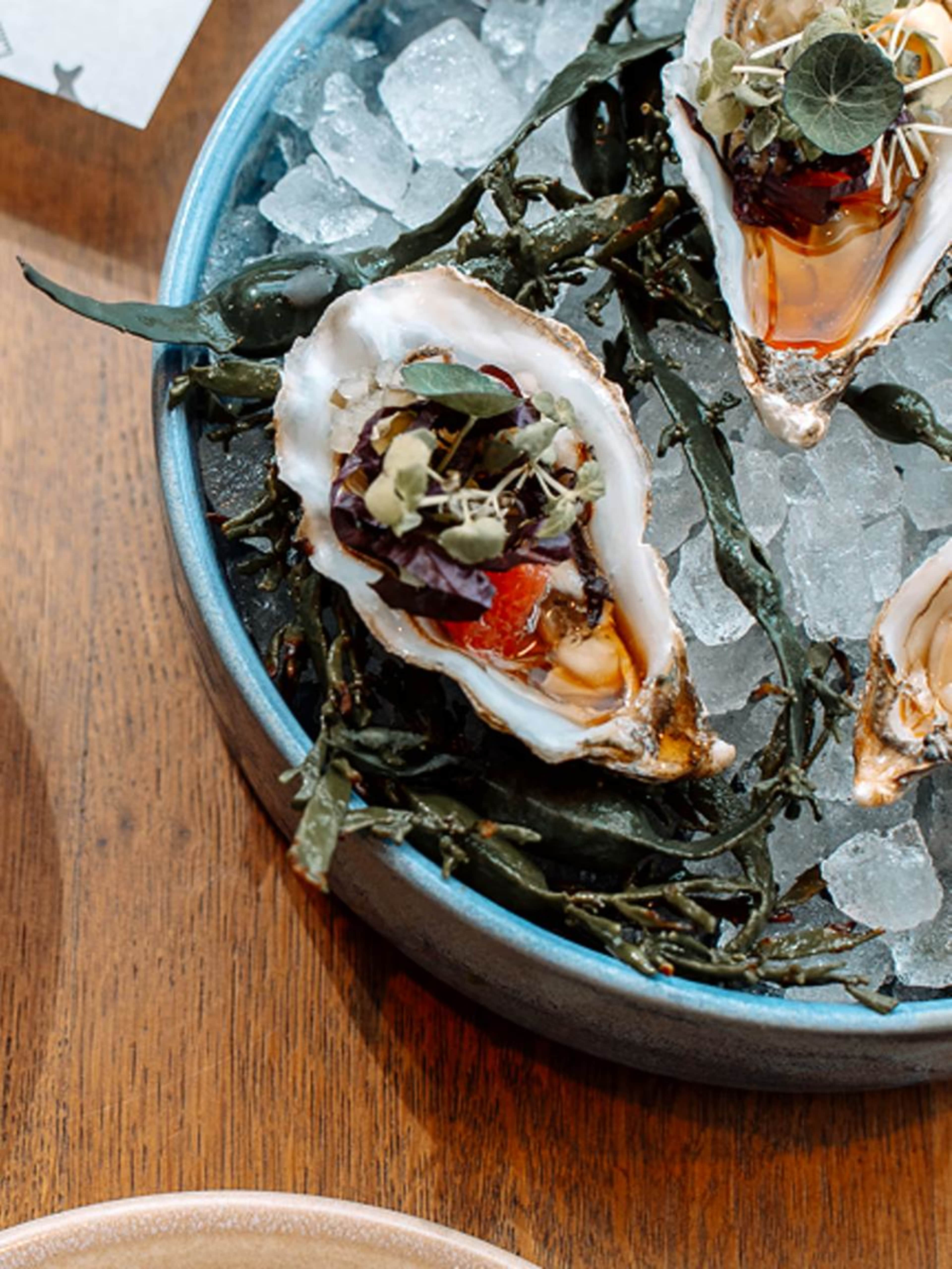 Oysters and Cava at Pesca Amsterdam