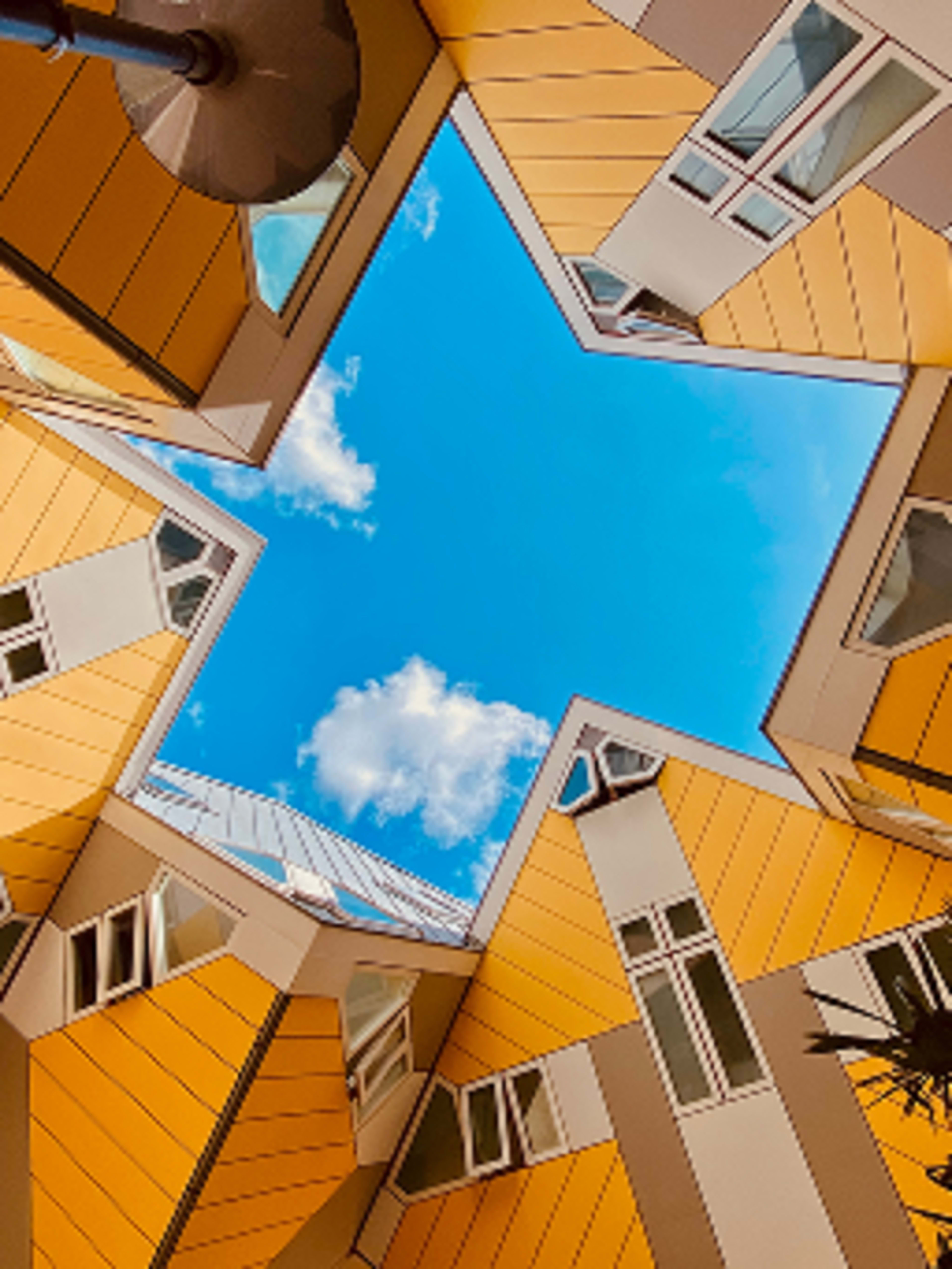 Rotterdam, Delft & The Hague Live Guided Tour