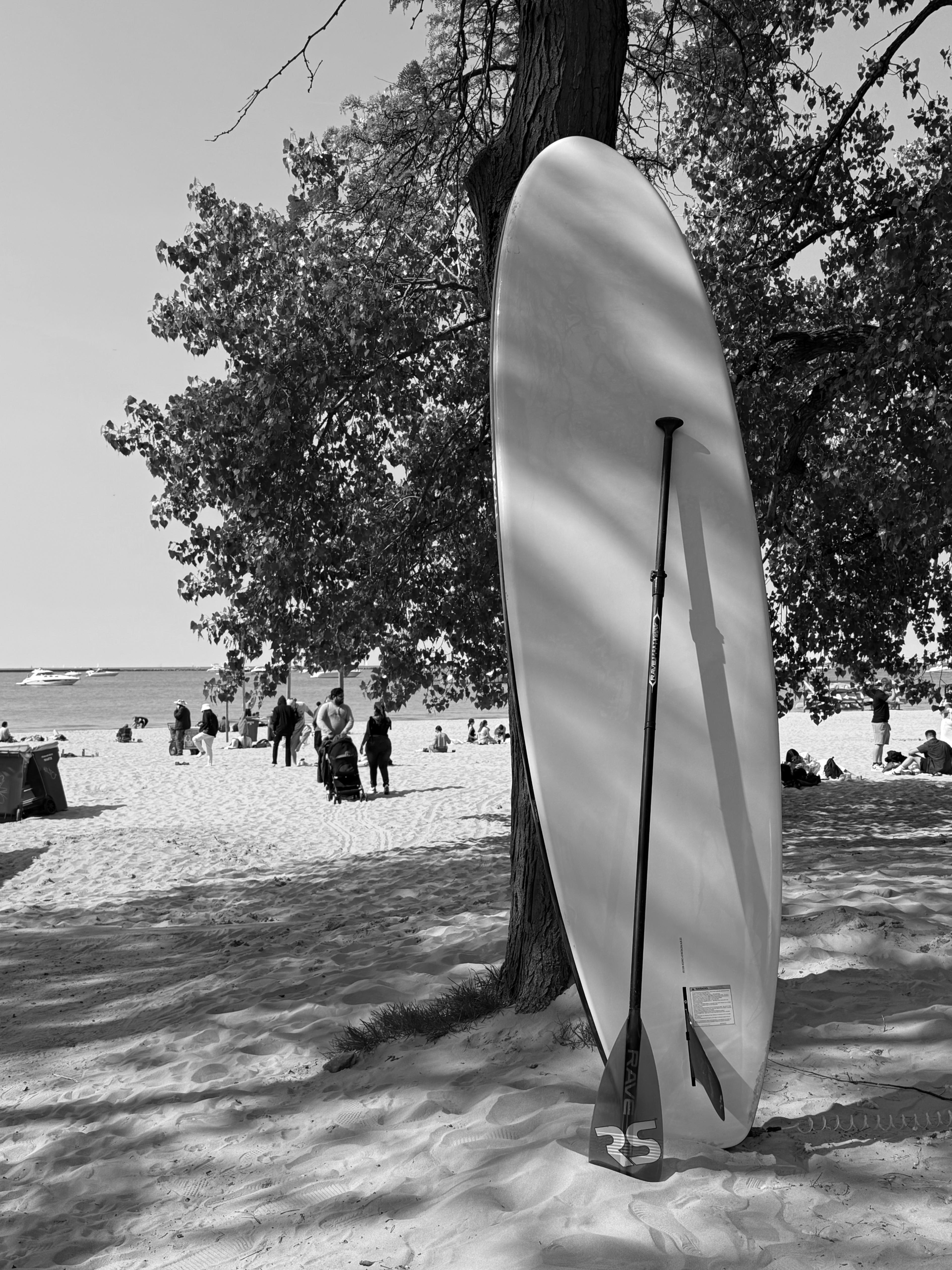 Location de paddle à Ohio Street Beach