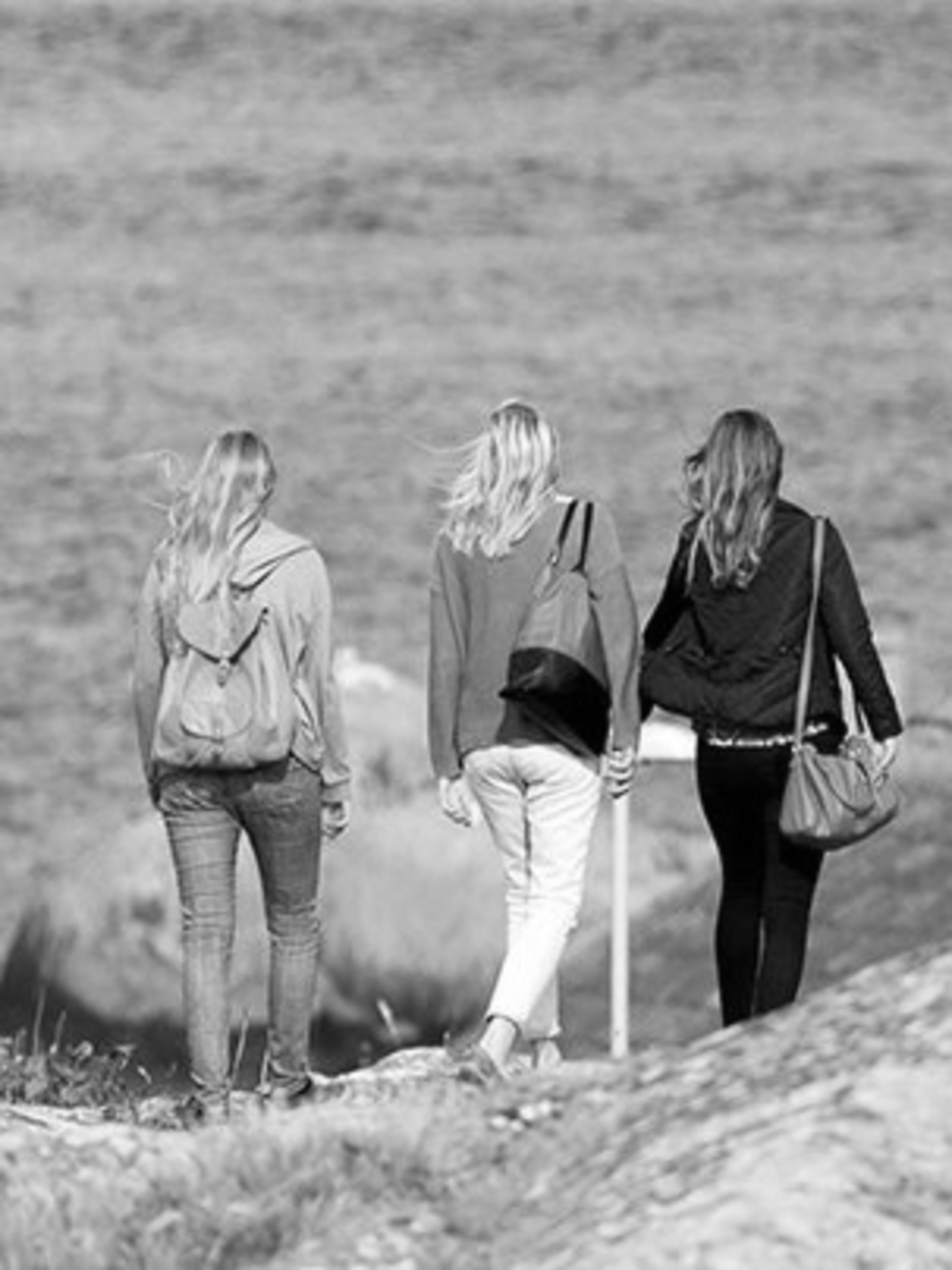 Guided Tour to Vinga