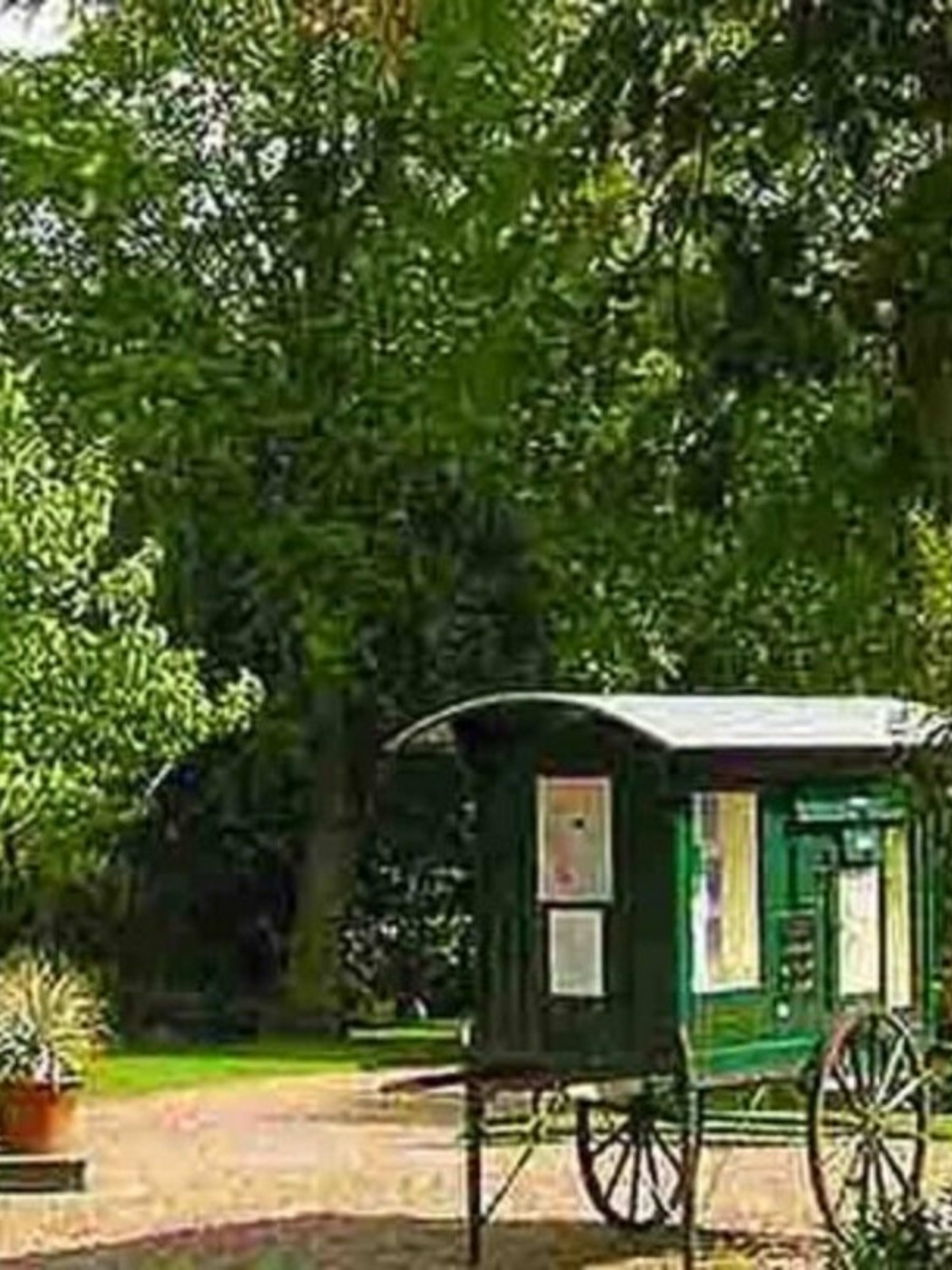 The Chelsea Physic Garden, London