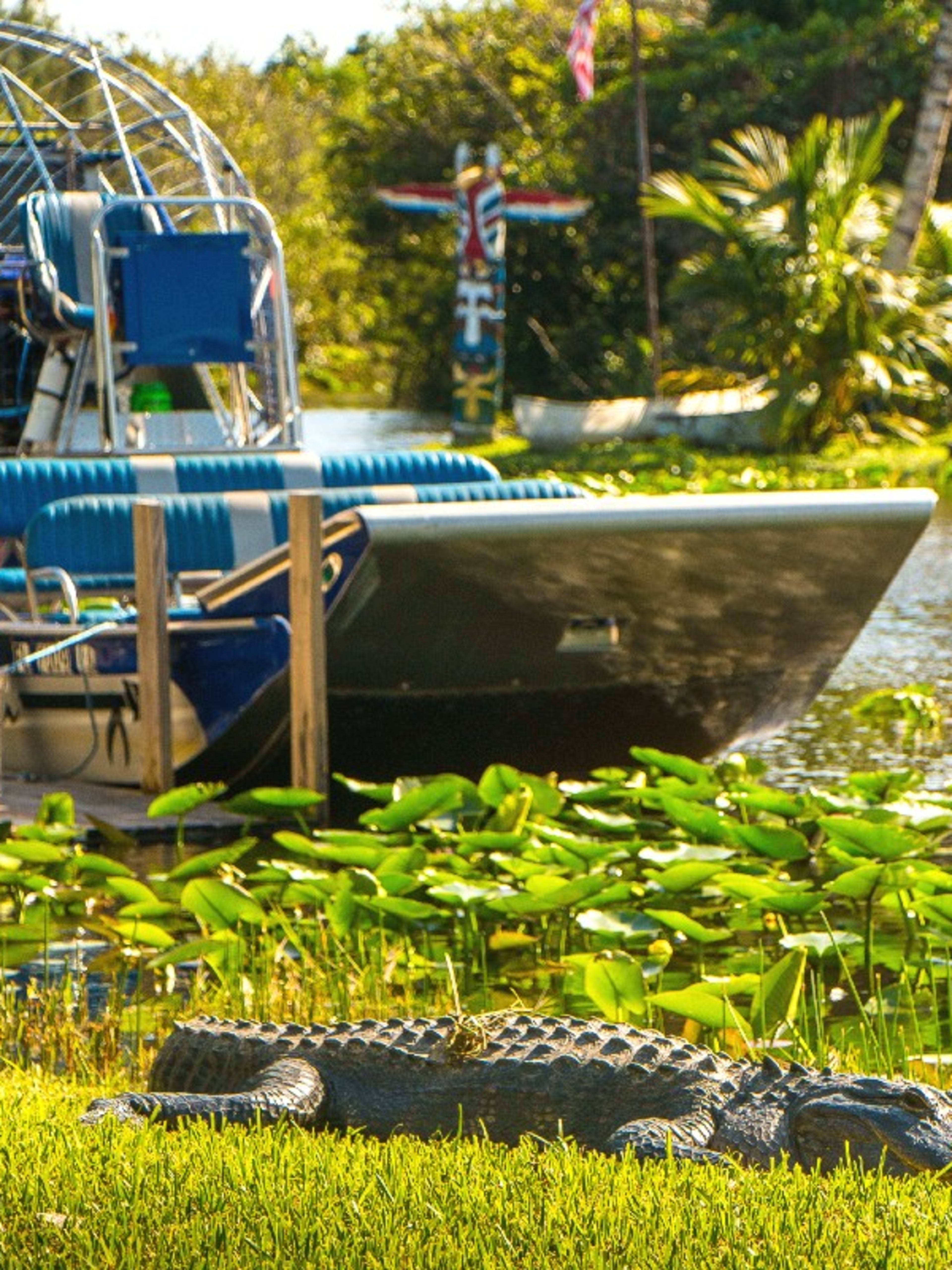 Gray Line Miami: Everglades Airboat Adventure Tour | Go Miami Pass
