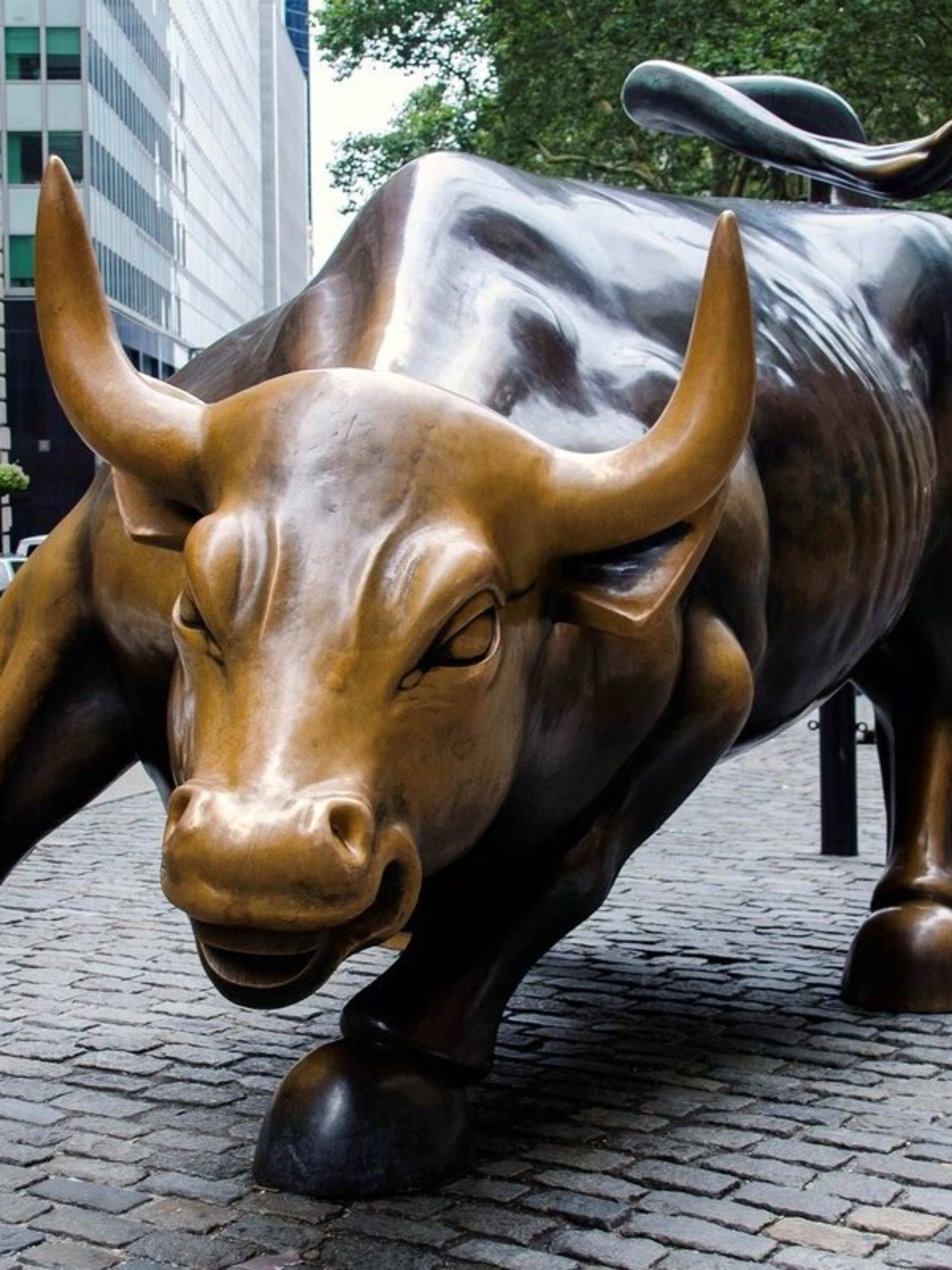 The Charging Bull statue in New York's financial district.