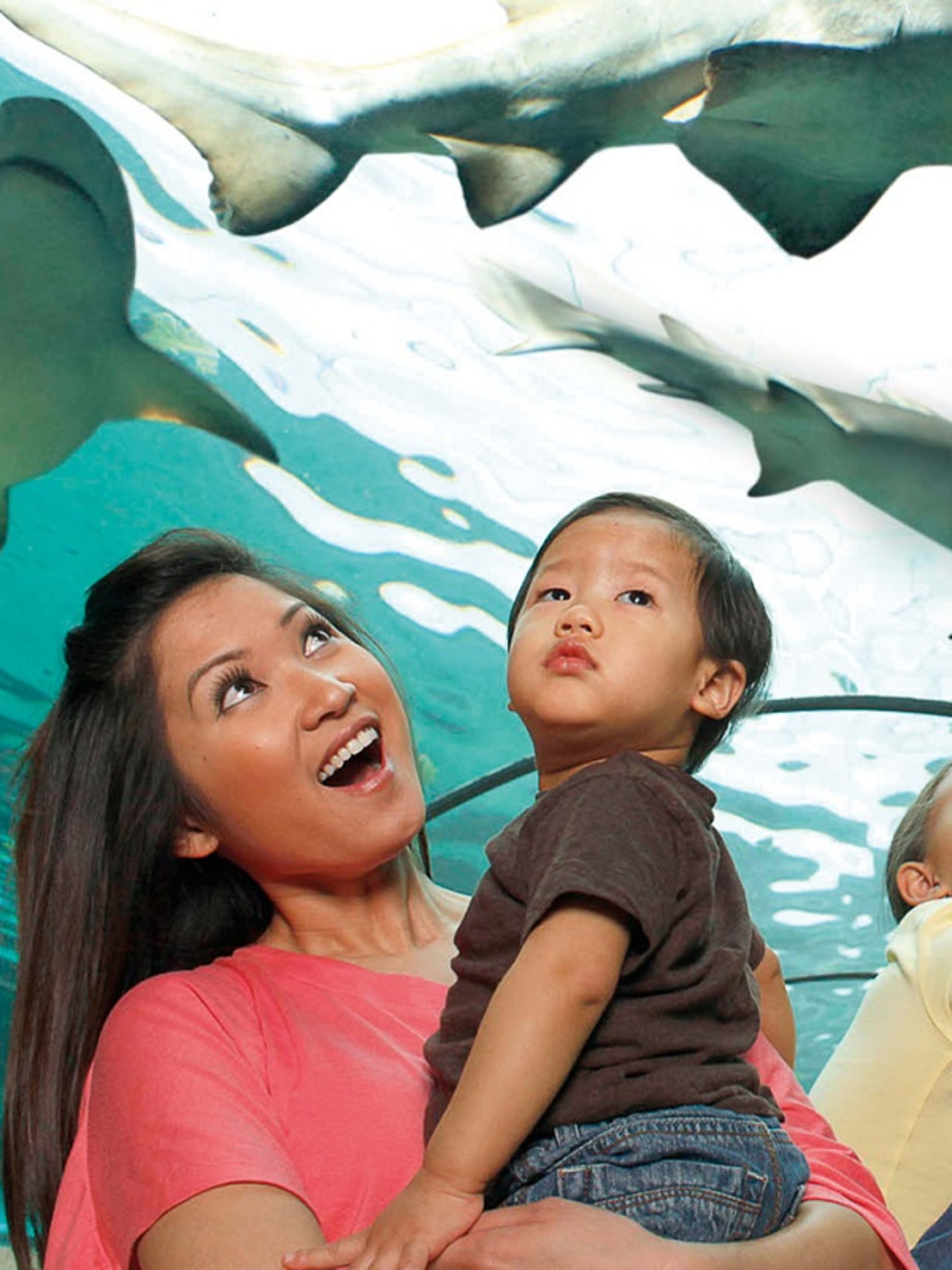 Sea Life