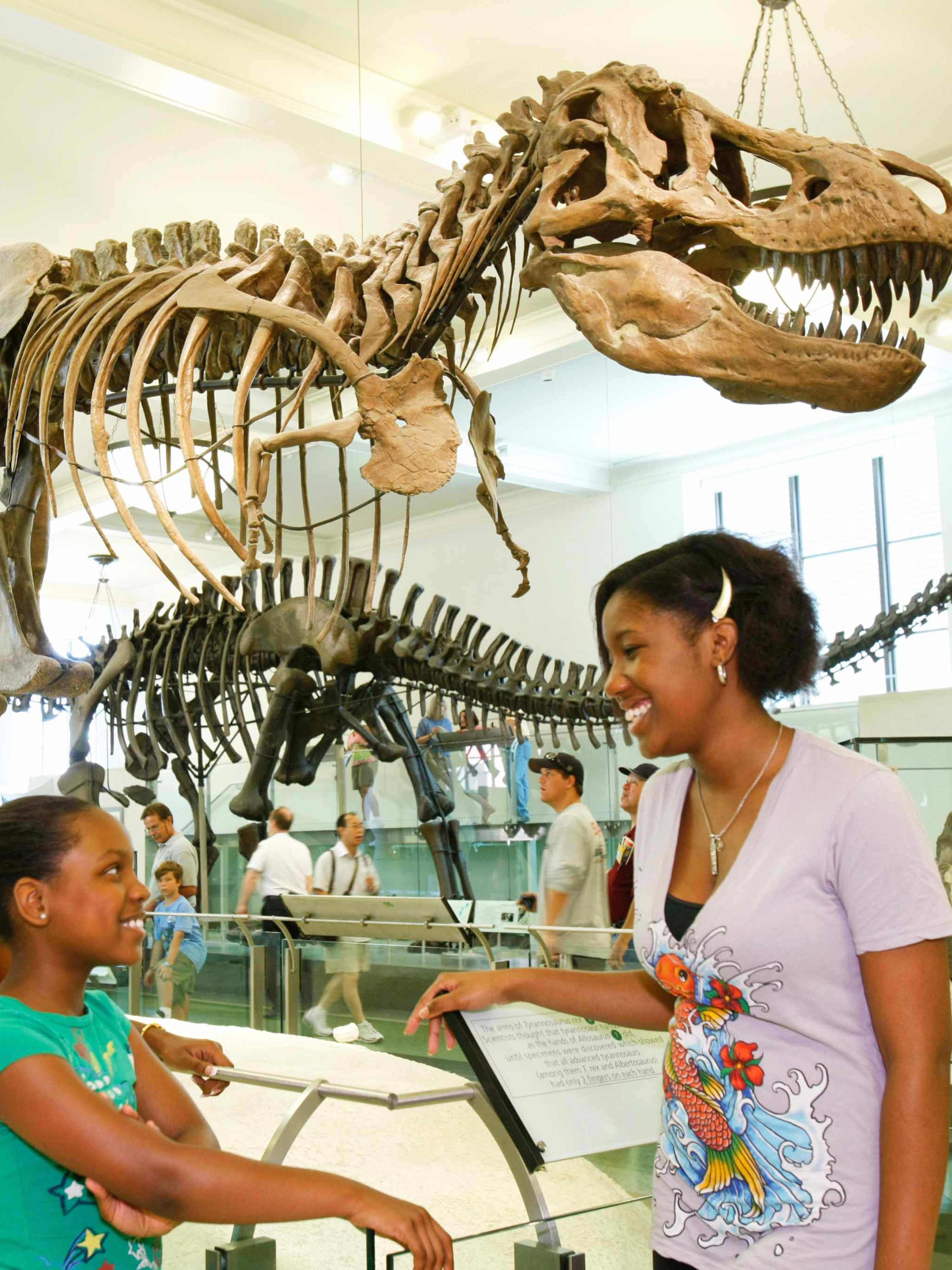 Musée américain d'Histoire naturelle