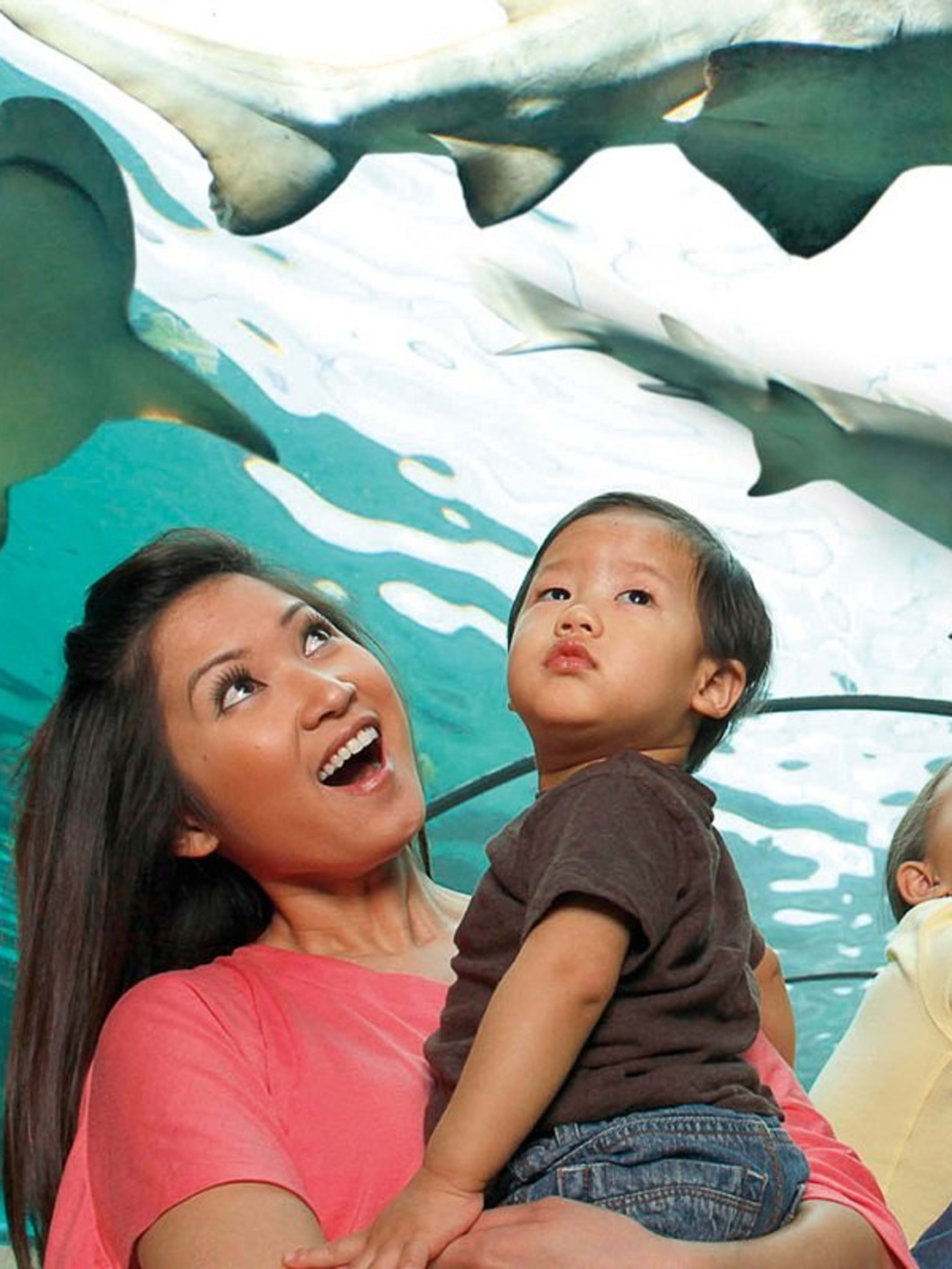 Sea Life