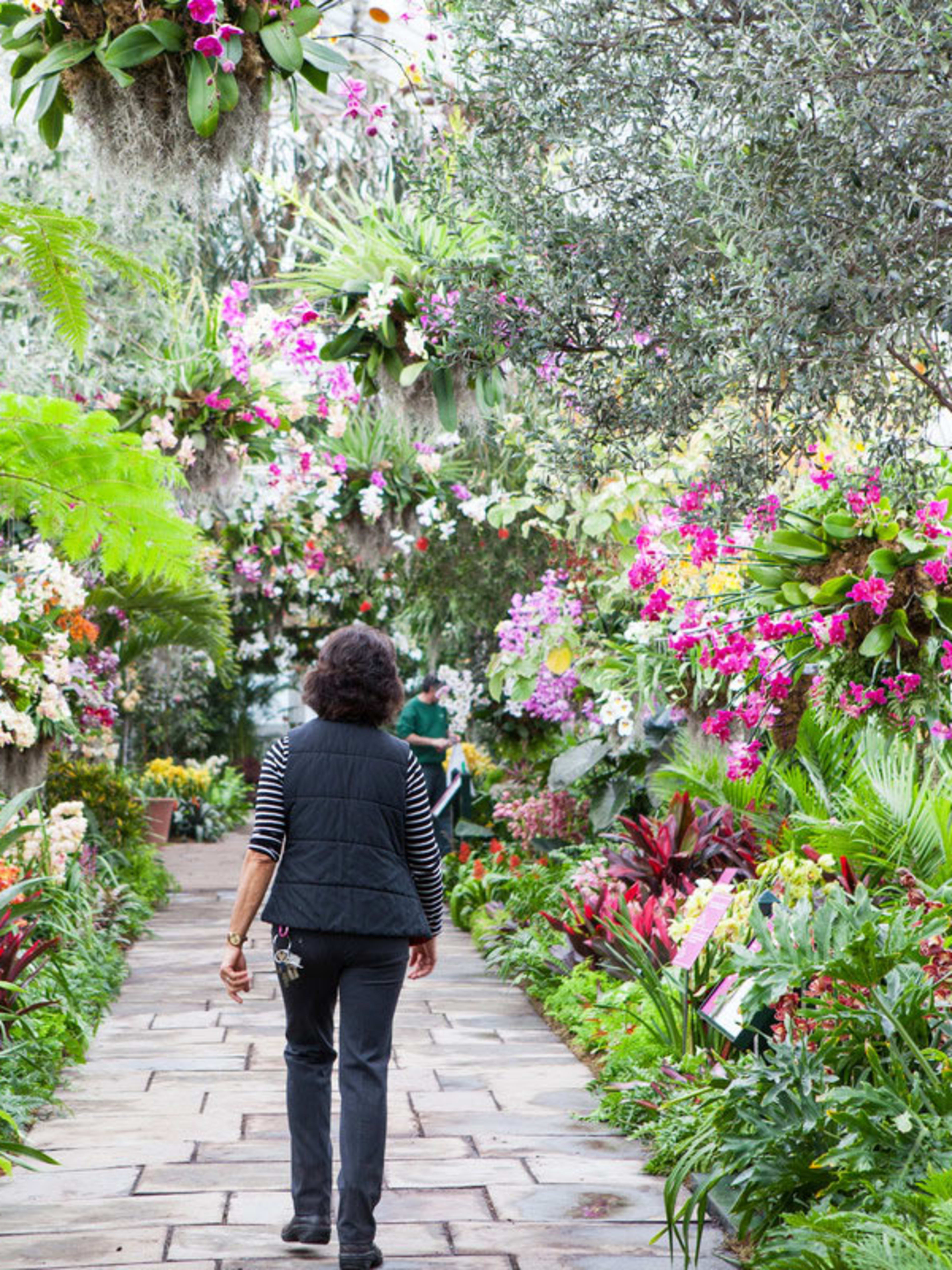 Garden Pass per il giardino botanico di New York