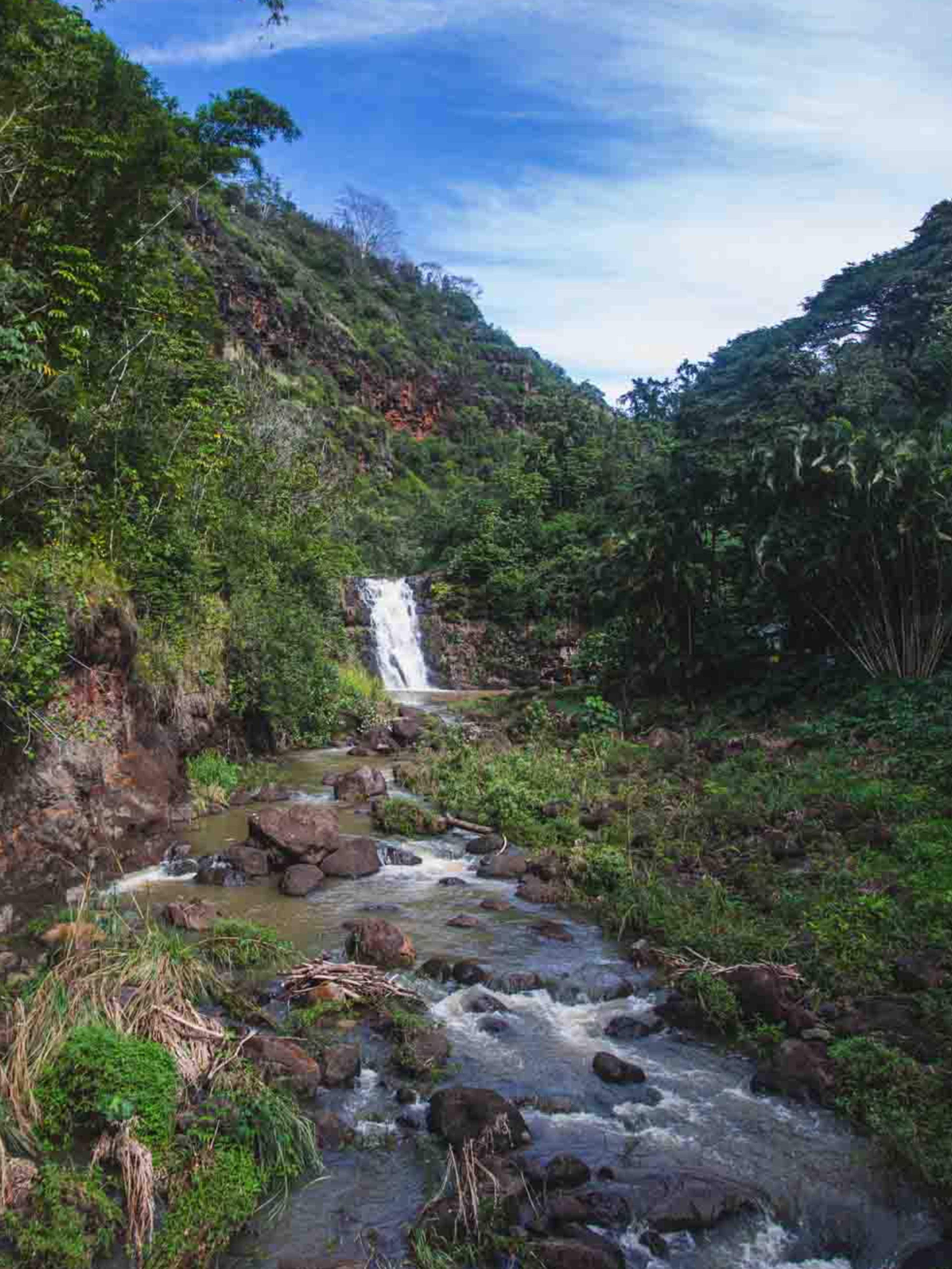 Waimea Valley 1