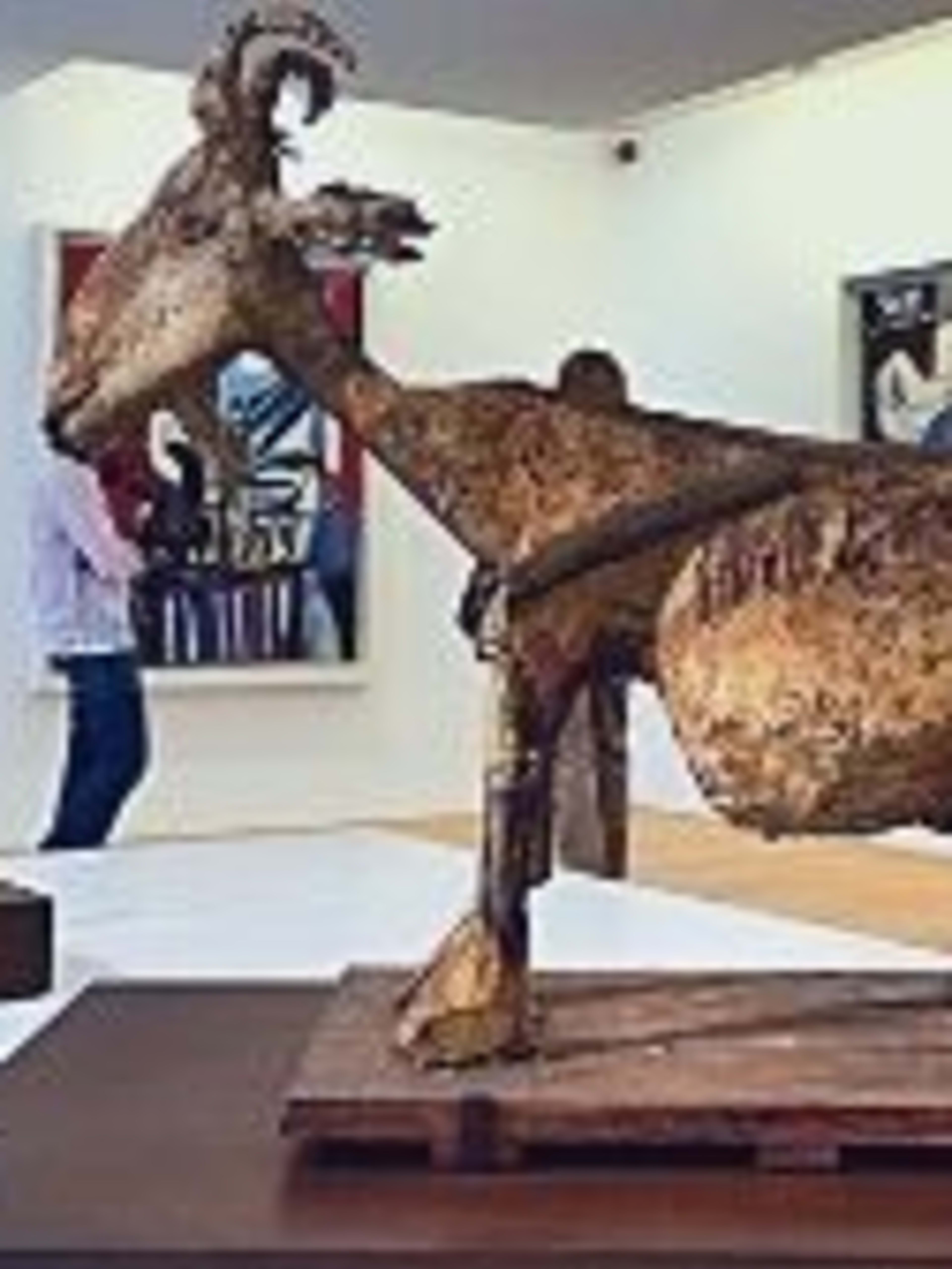 Picasso Museum