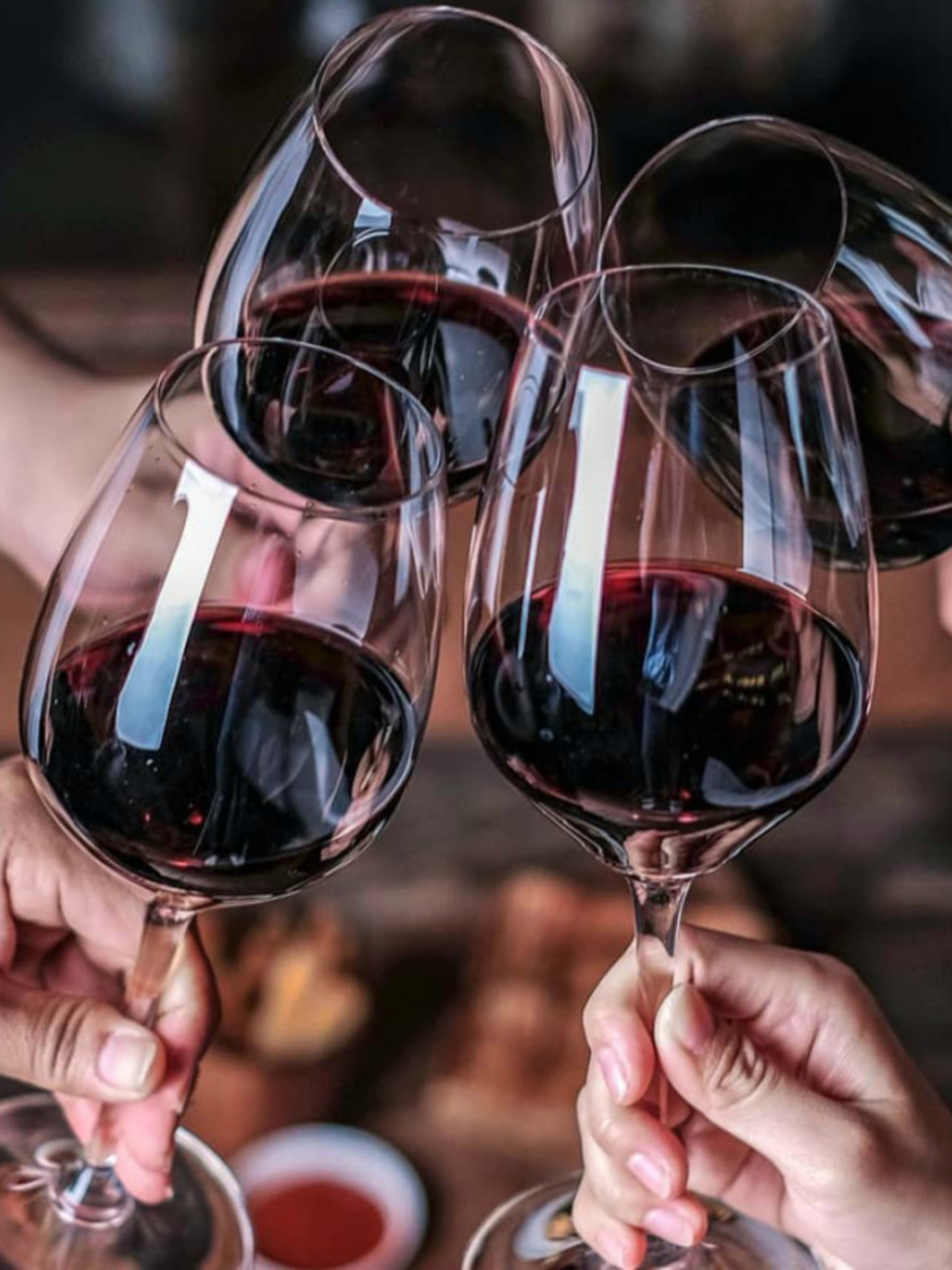 Dégustation de vins et fromages